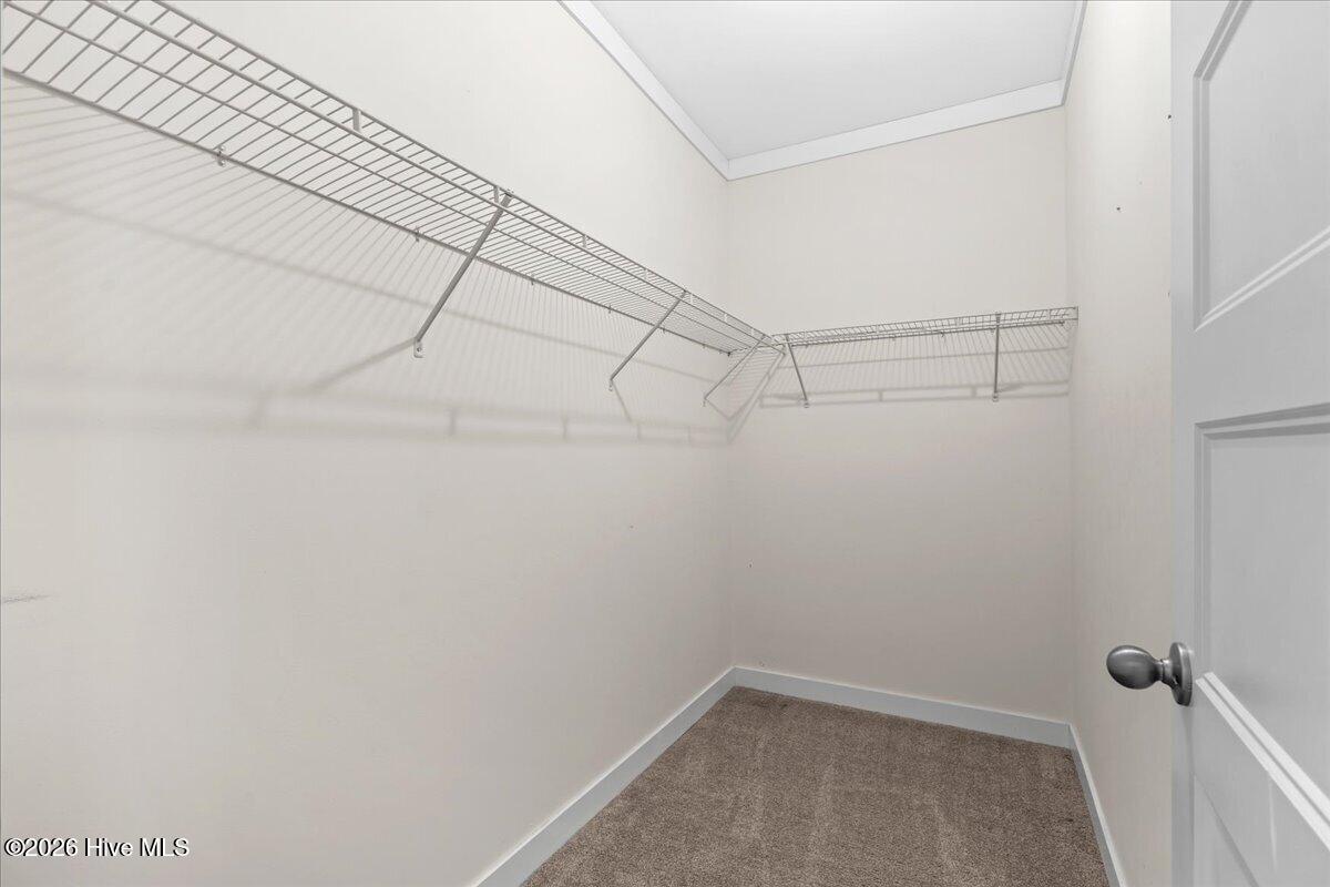 3339 Nc-903 Property Photo 55