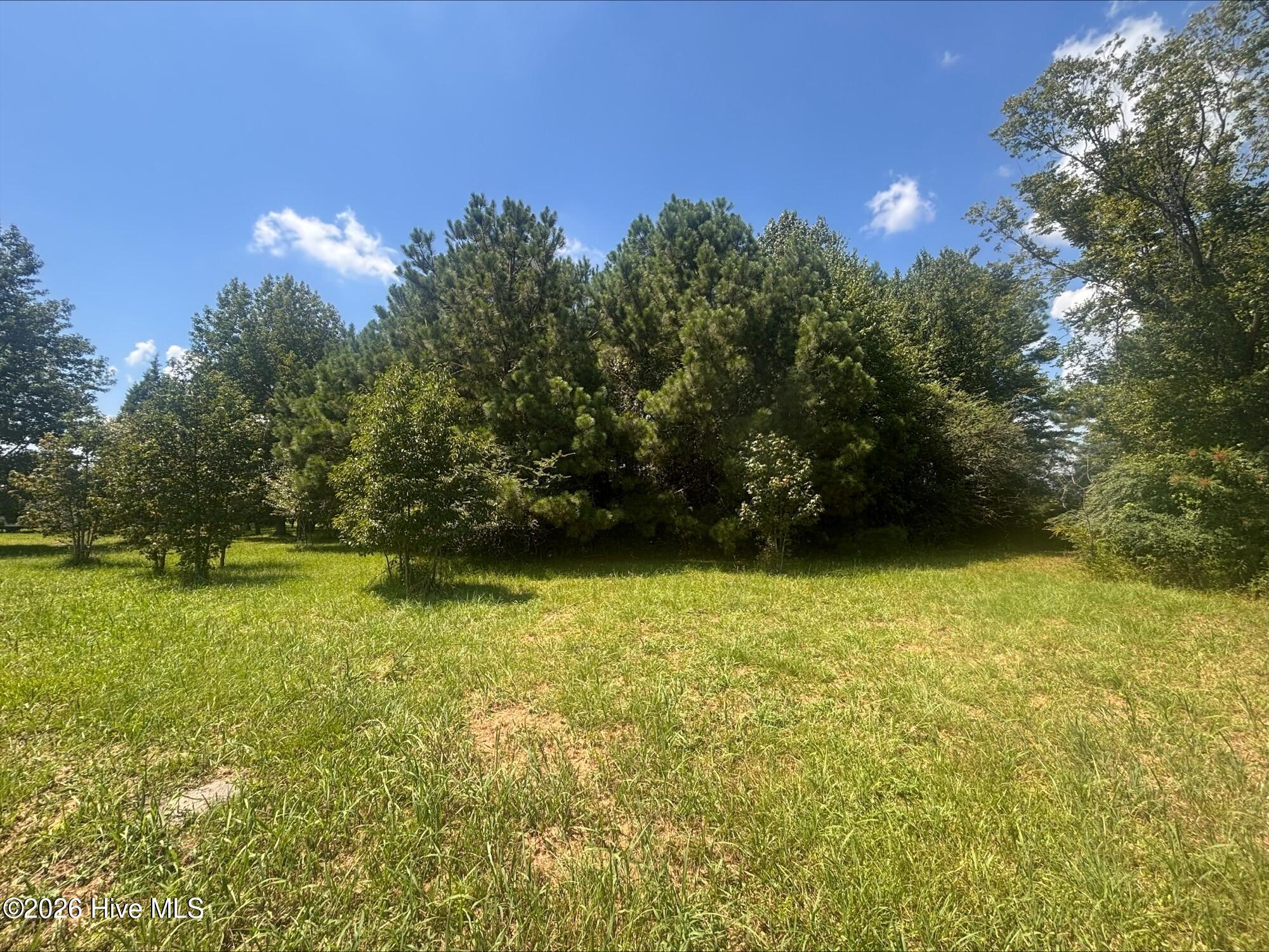5369 Weyerhaeuser Road Property Photo 3