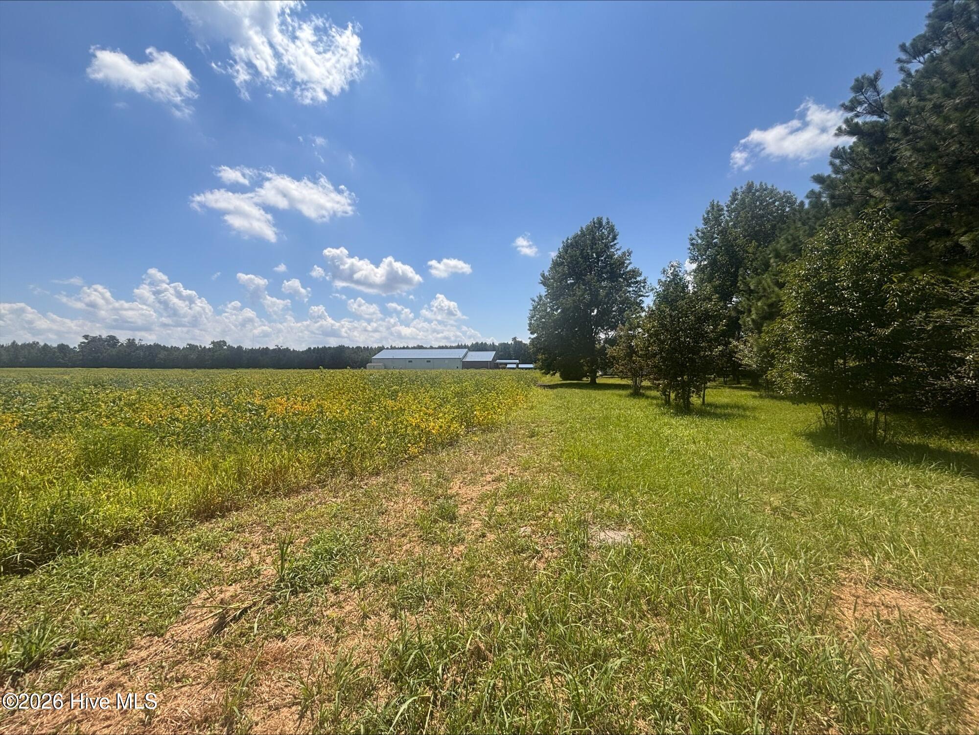 5369 Weyerhaeuser Road Property Photo 4