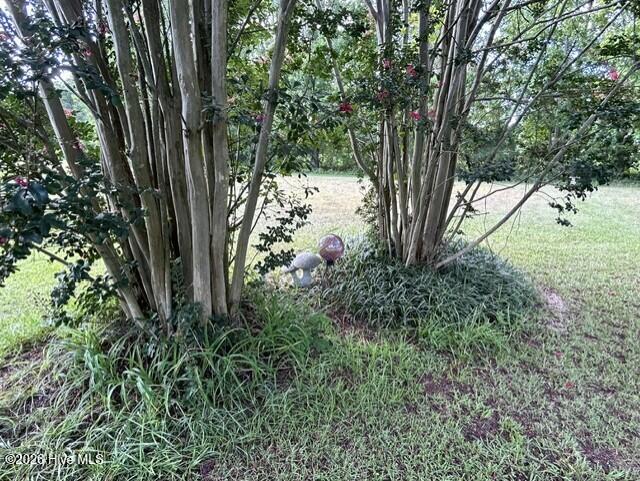 11675 Straight Gate Road Property Photo 5