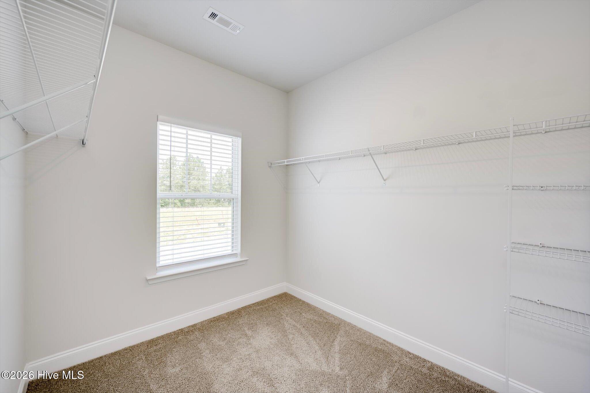 1052 Masterpiece Drive Property Photo 20