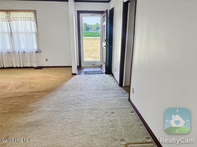 289 Tankard Drive Property Photo 18