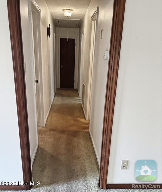 289 Tankard Drive Property Photo 28