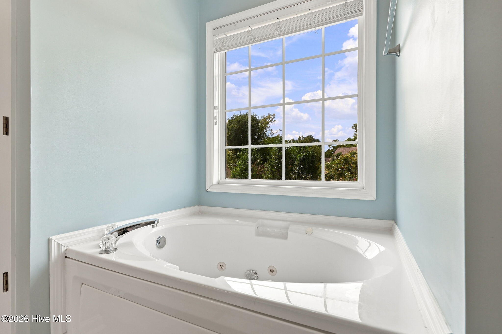 303 Pommel Court Property Photo 28