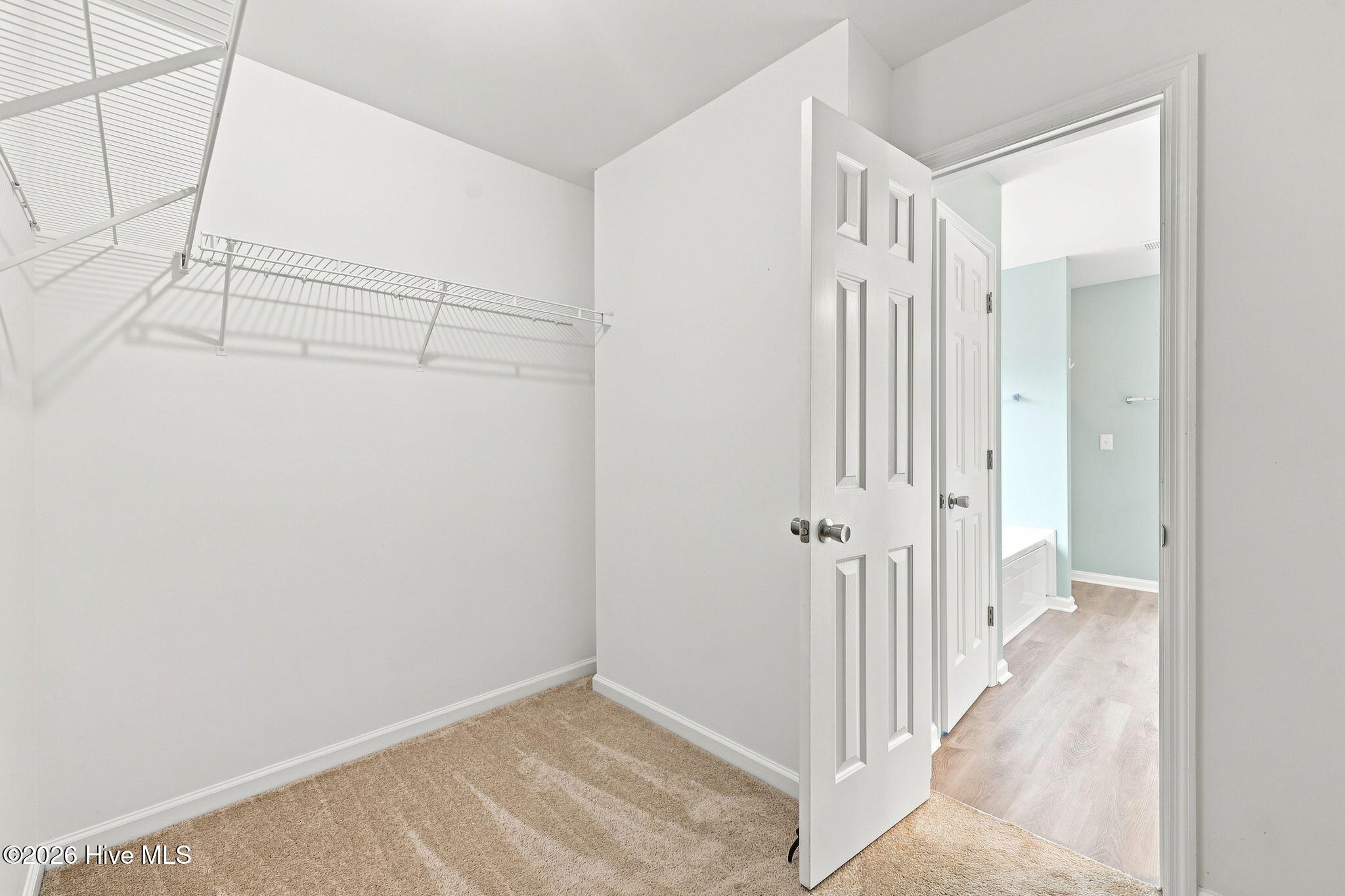 303 Pommel Court Property Photo 29