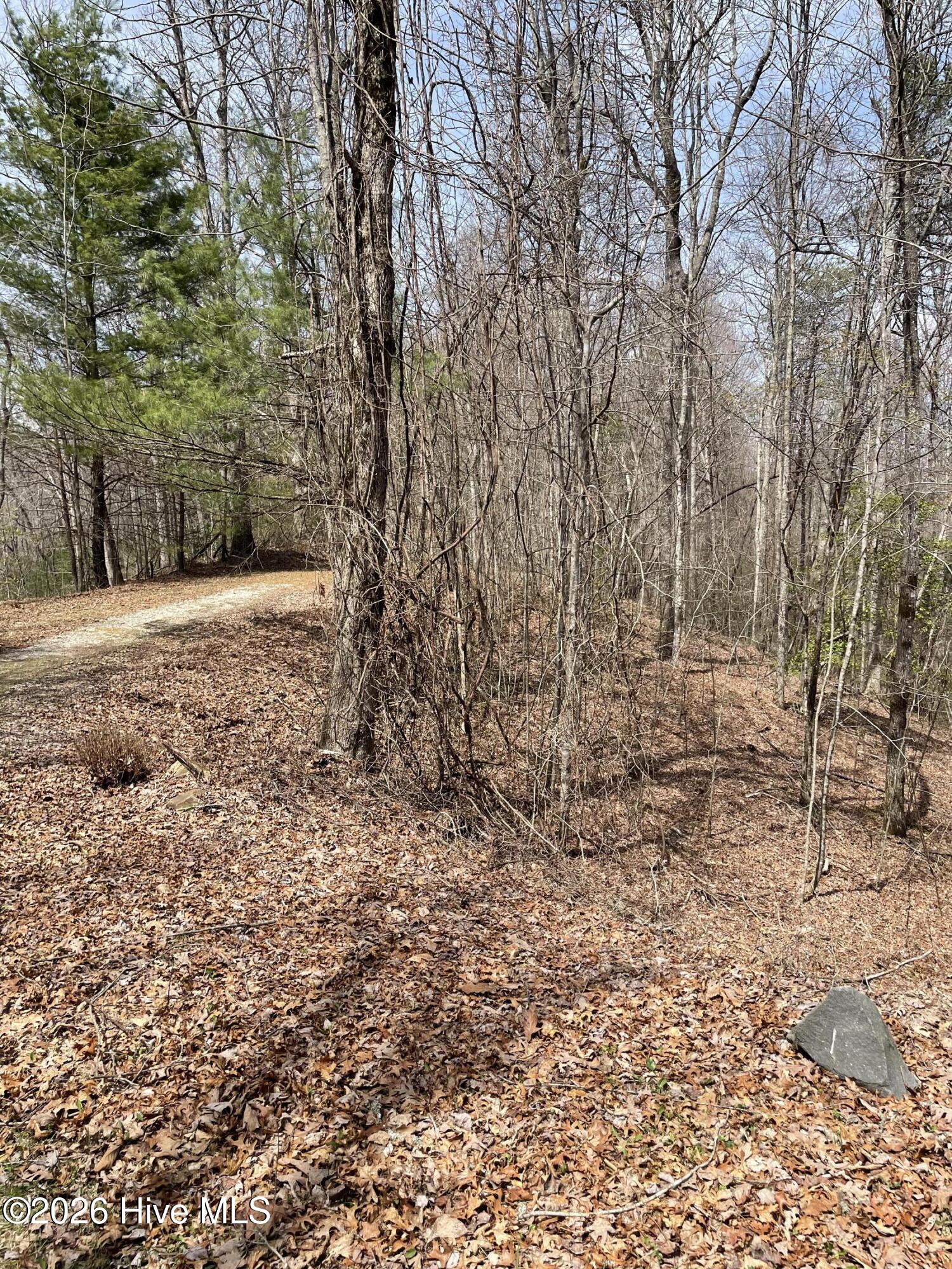 11a 11b 11a 11b Hidden Lakes Road Property Photo 6