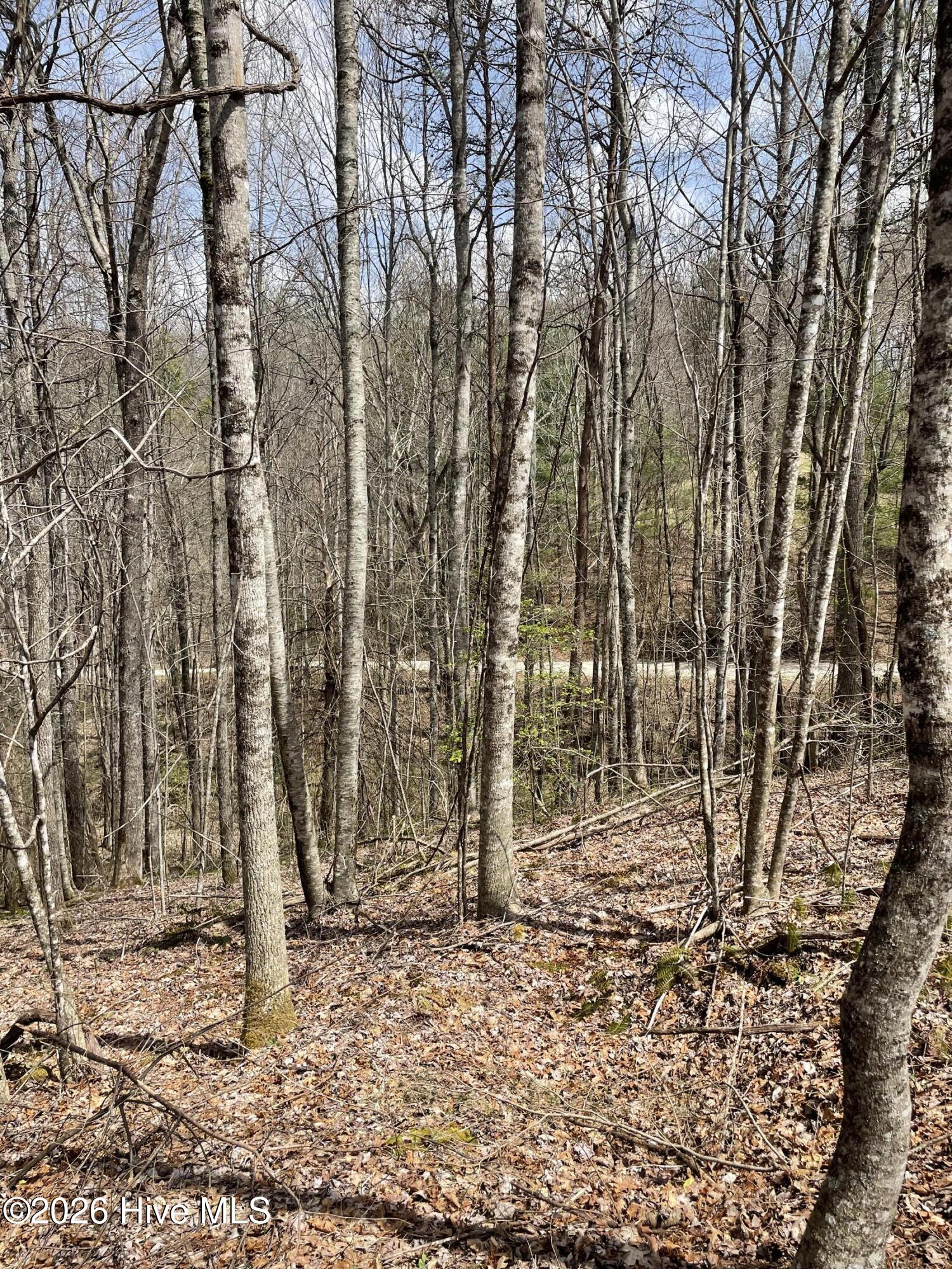 11a 11b 11a 11b Hidden Lakes Road Property Photo 7