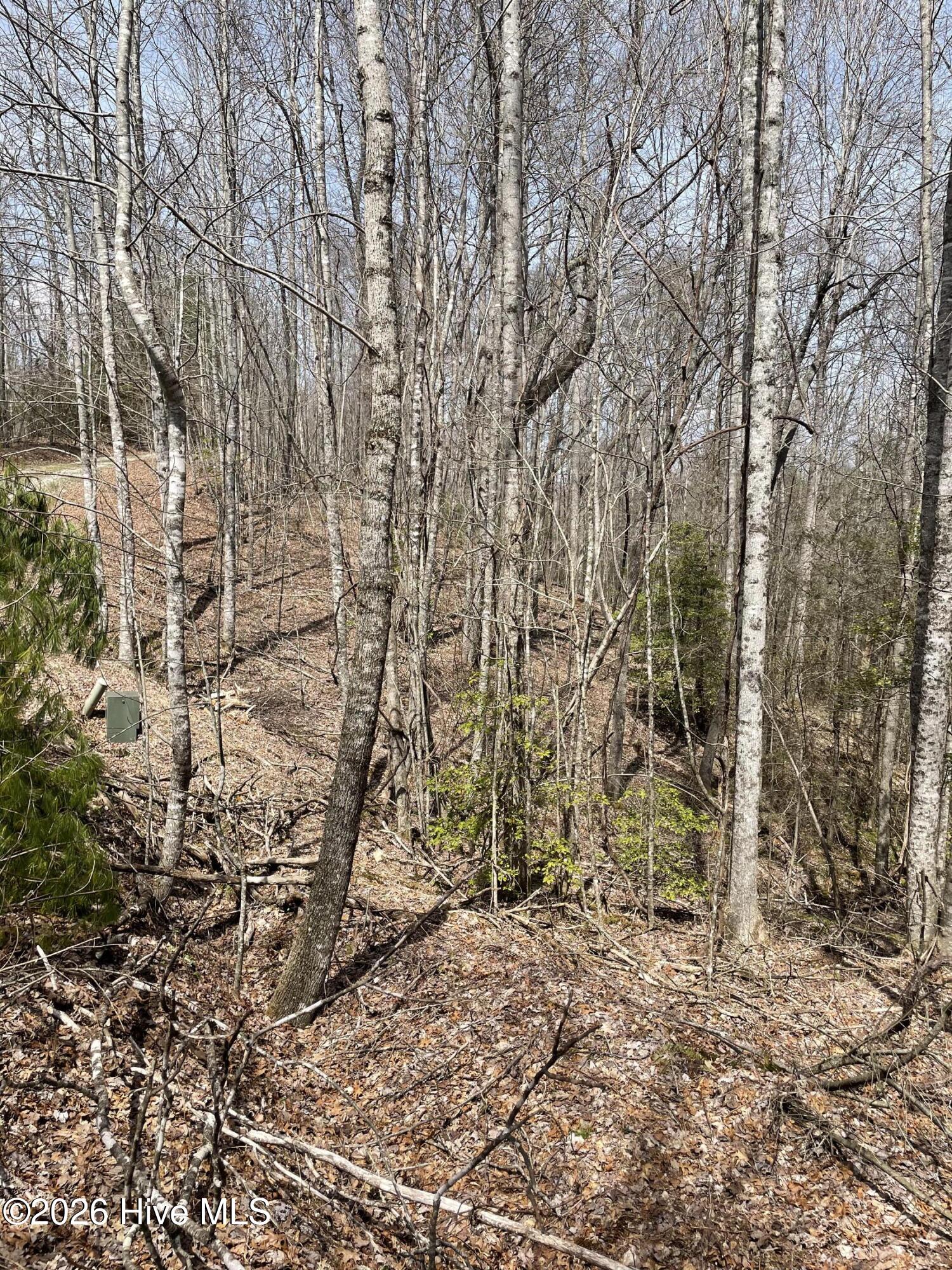 11a 11b 11a 11b Hidden Lakes Road Property Photo 12