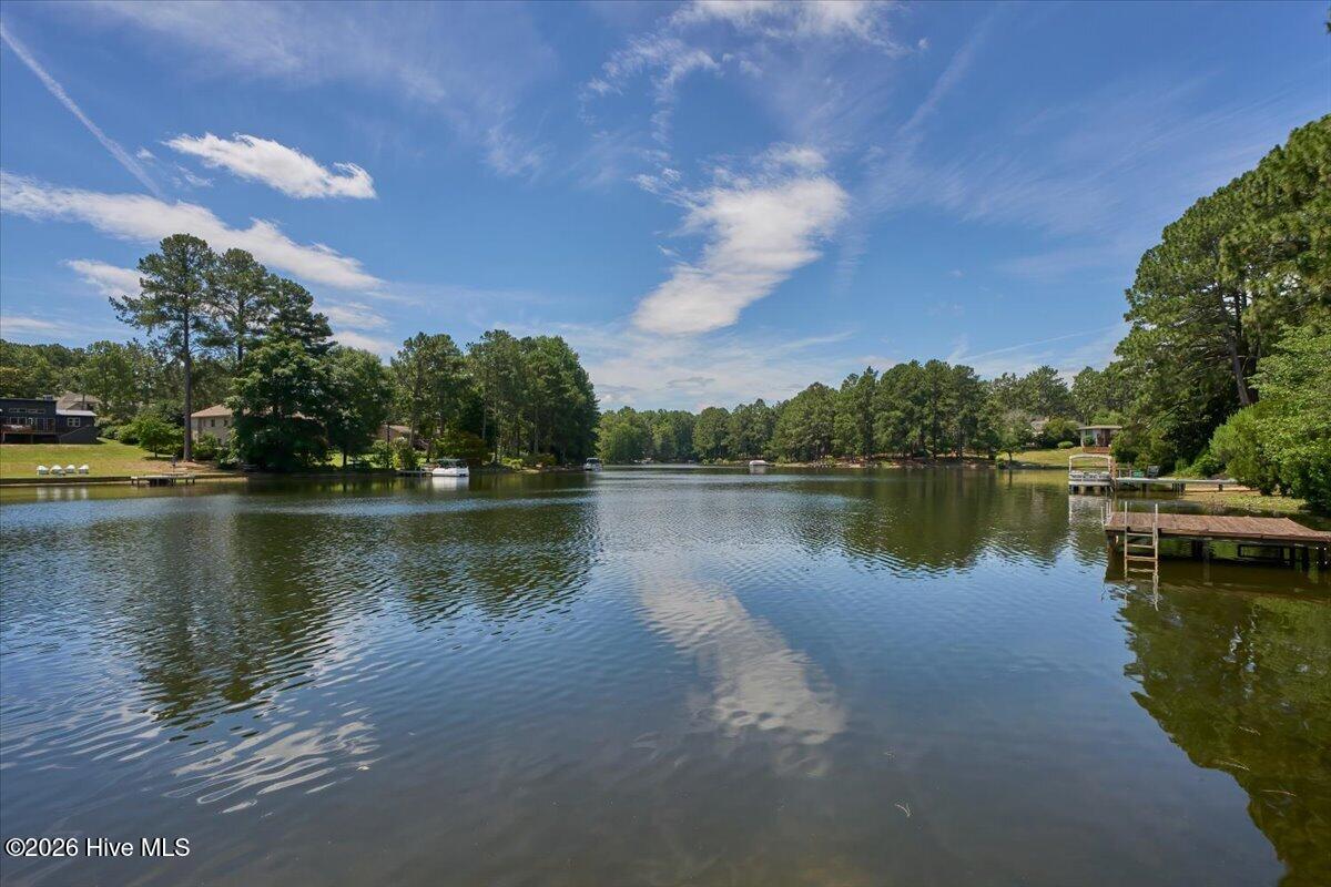 154 Pine Lake Drive Property Photo 81