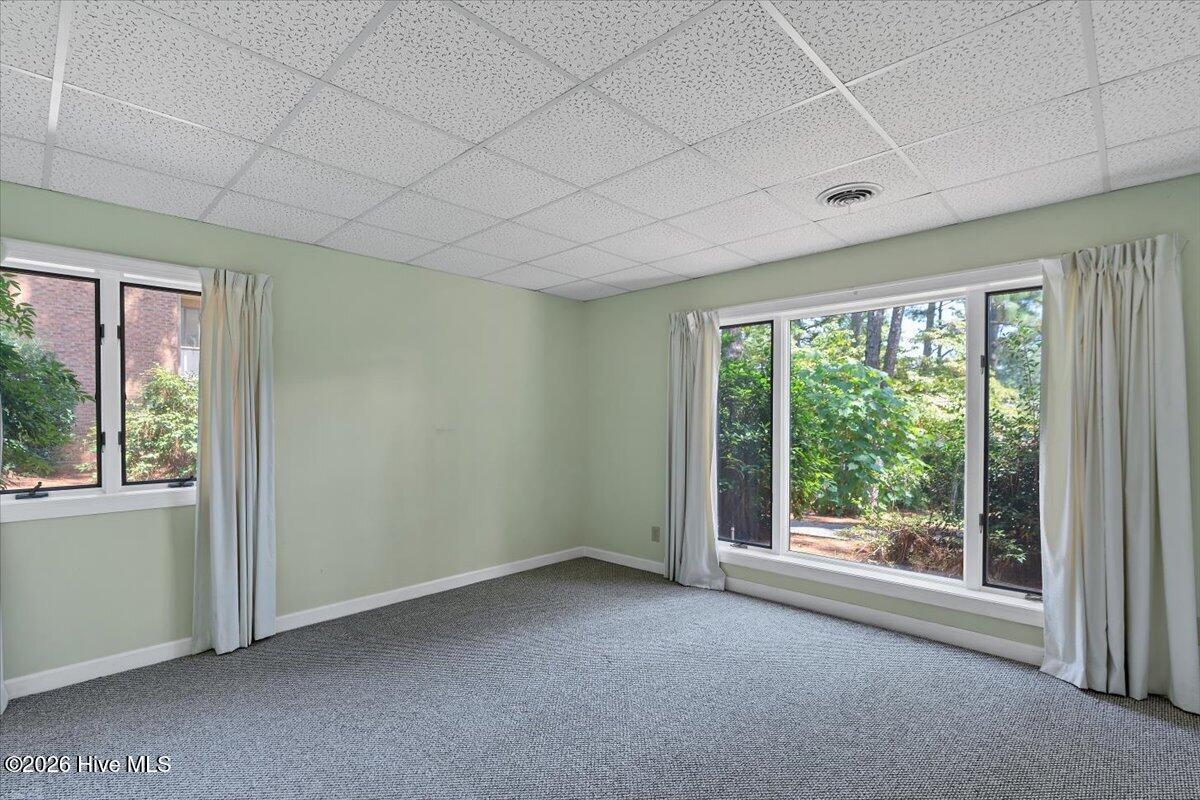 154 Pine Lake Drive Property Photo 109