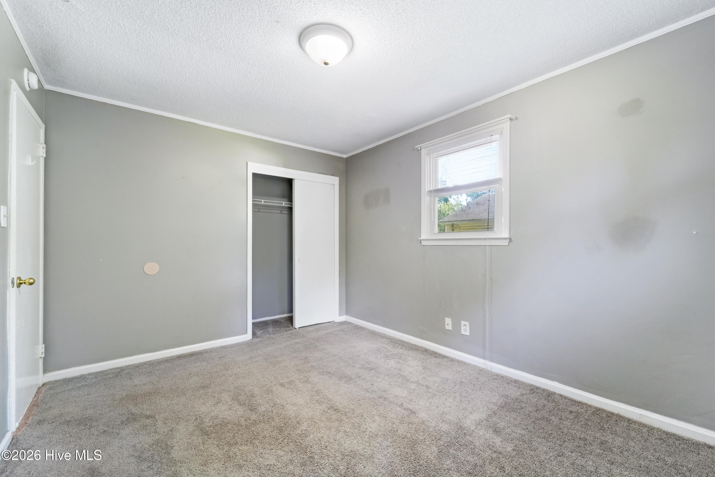 613 Elm Street Property Photo 21