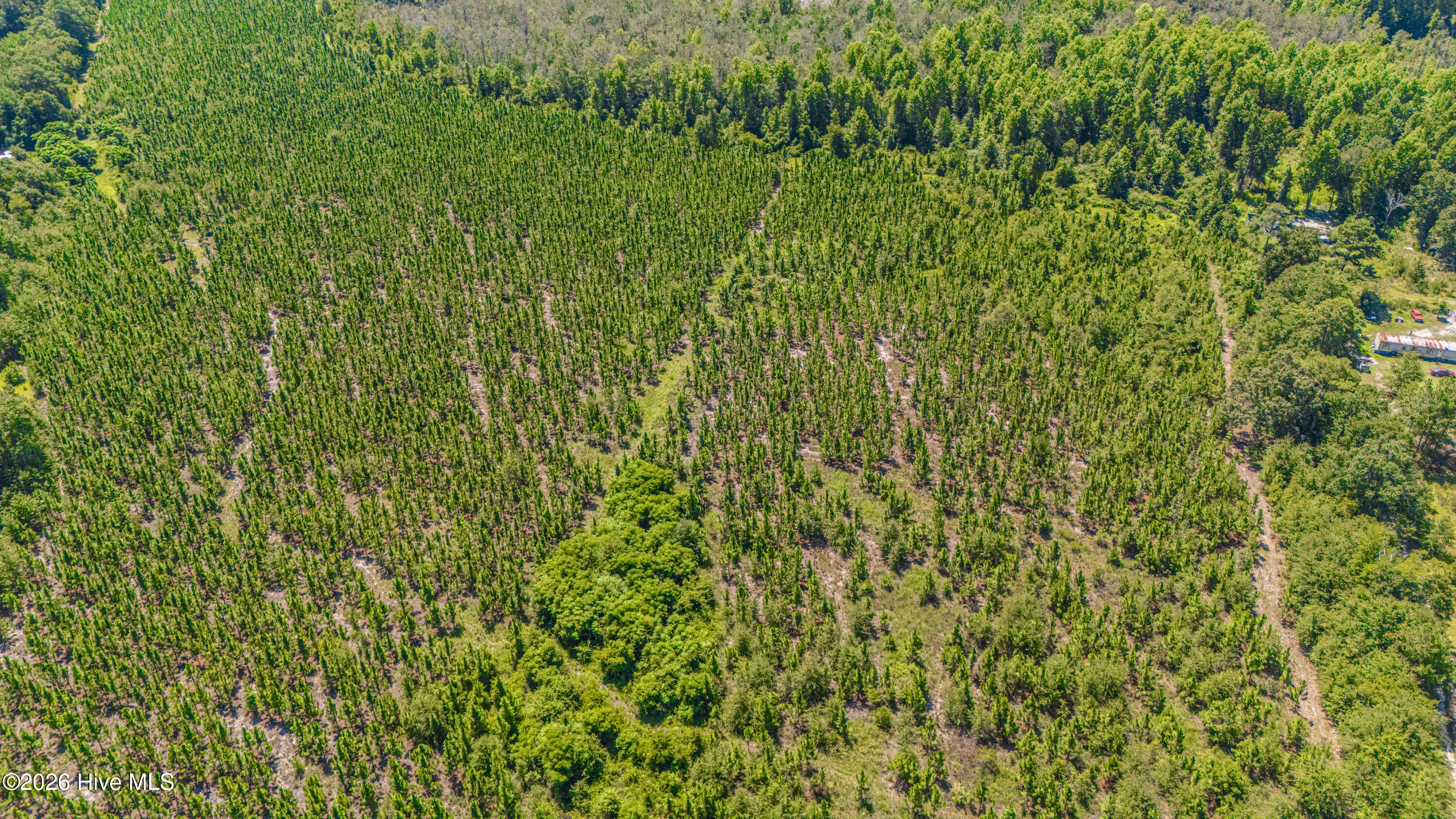 Tbd Blue Springs Road Property Photo 4