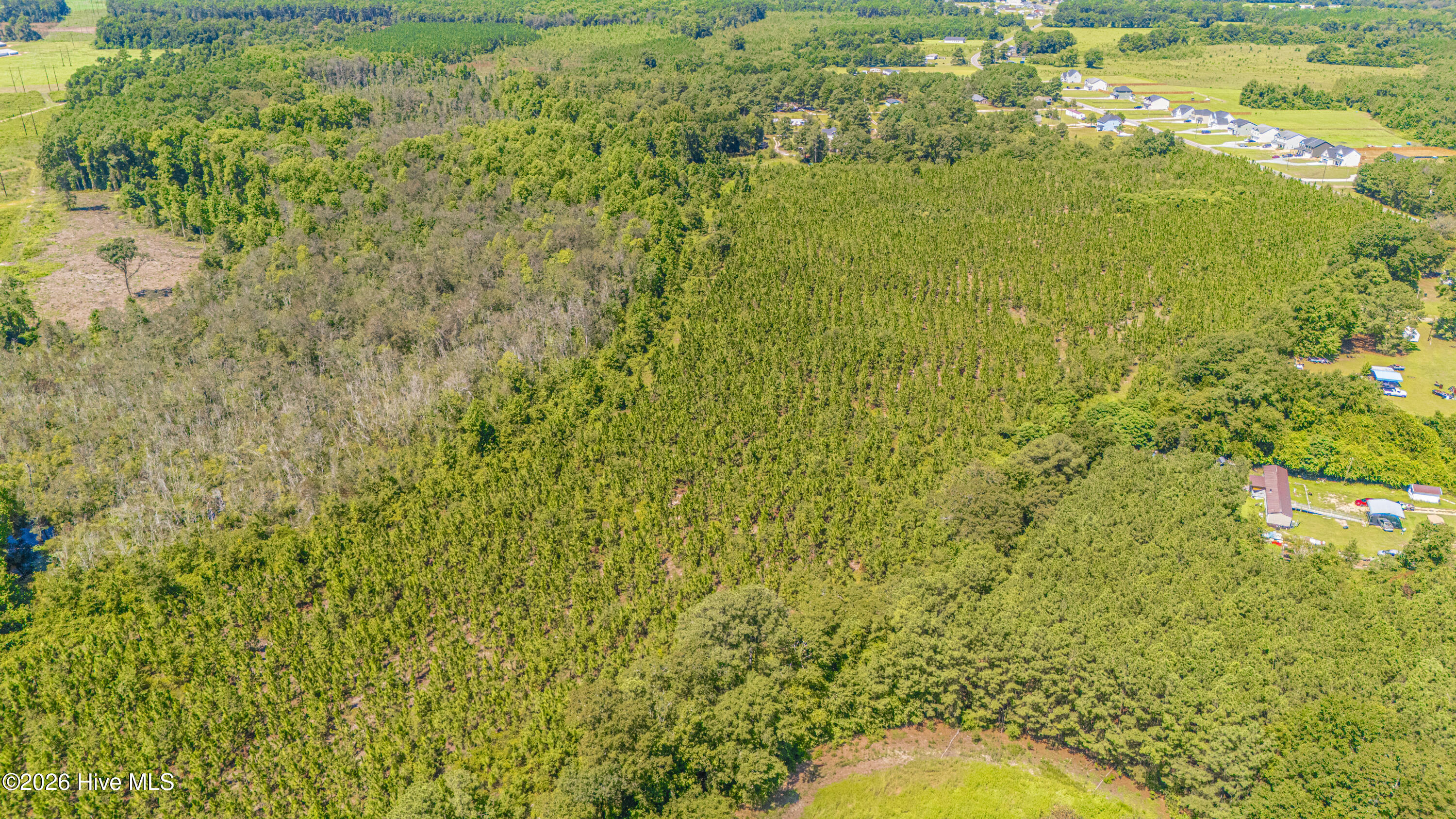 Tbd Blue Springs Road Property Photo 5