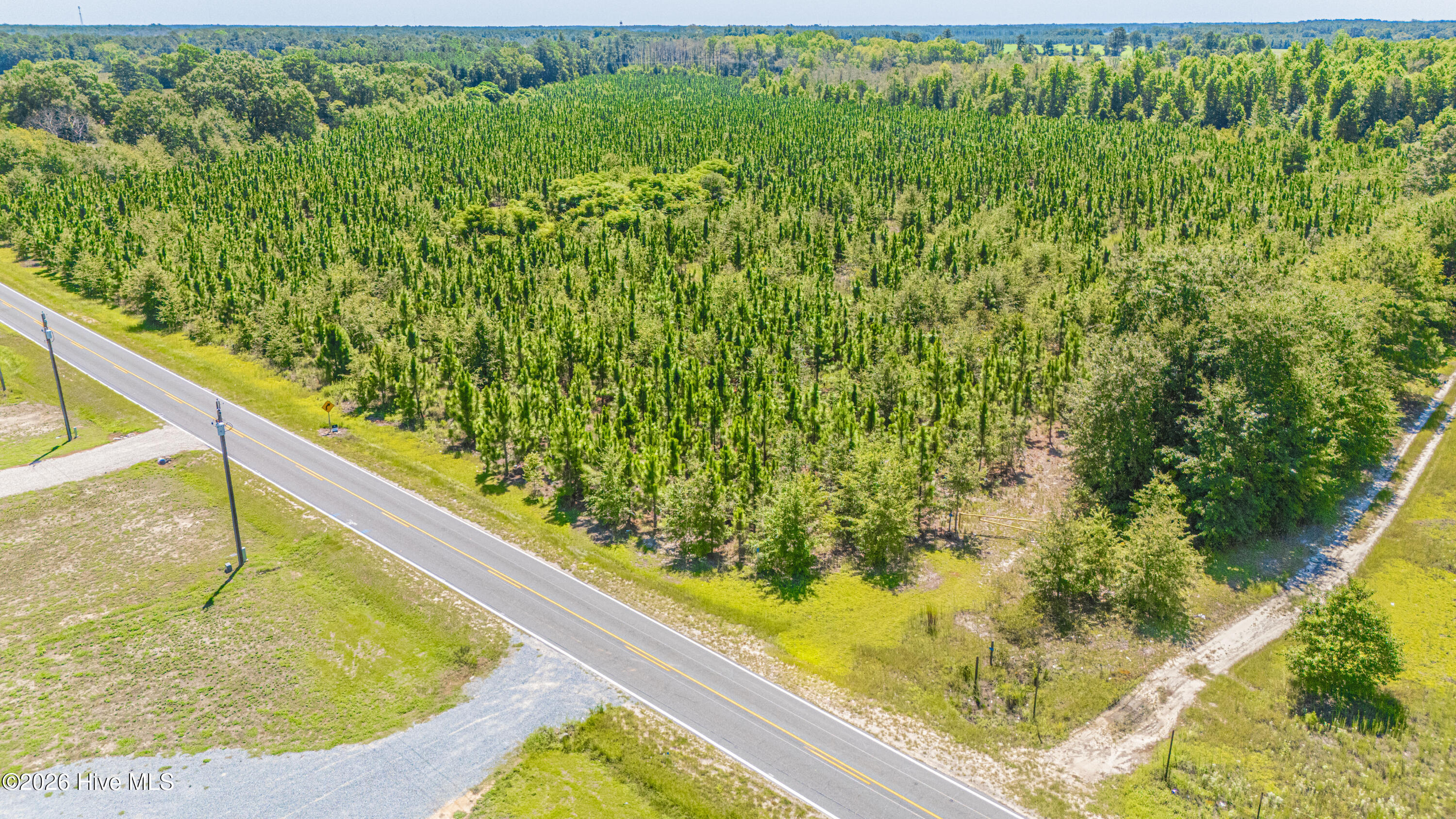 Tbd Blue Springs Road Property Photo 6
