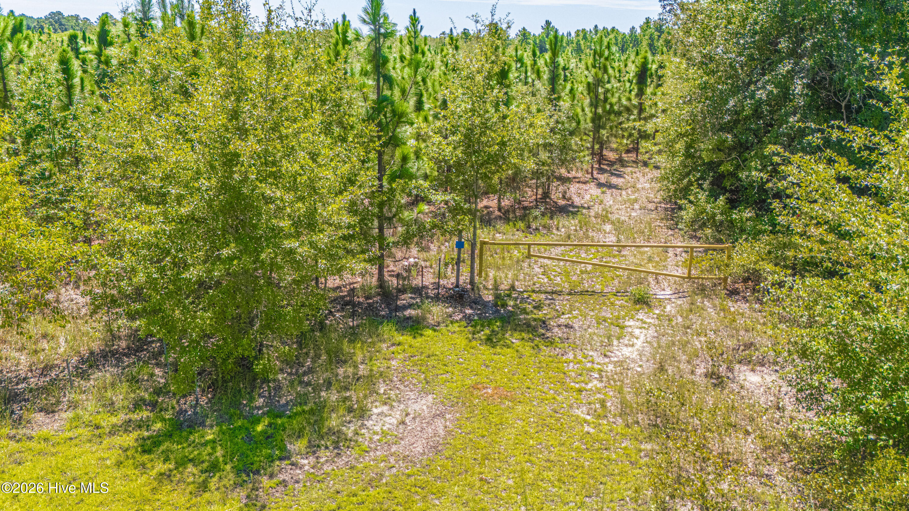 Tbd Blue Springs Road Property Photo 7