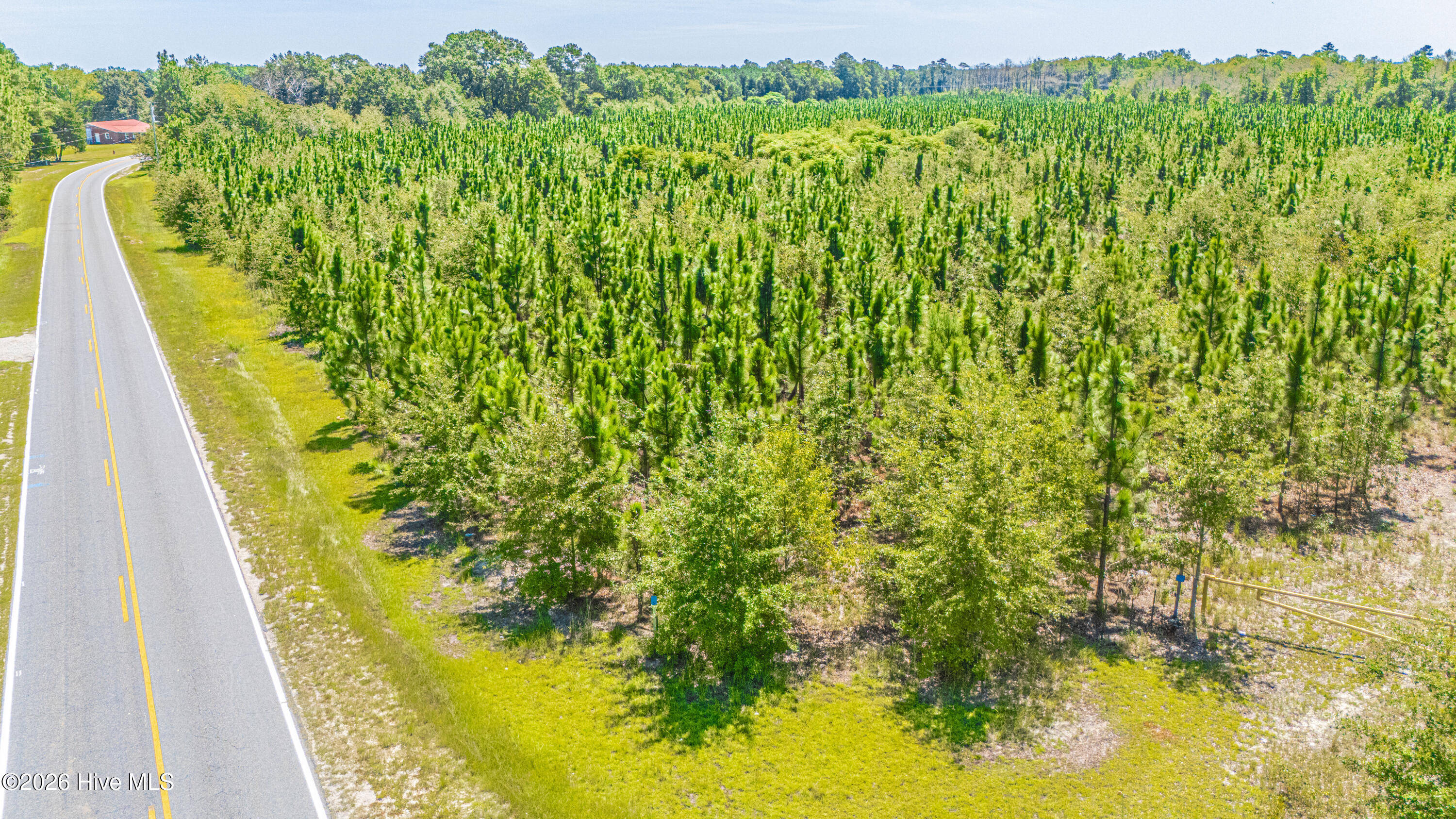 Tbd Blue Springs Road Property Photo 9