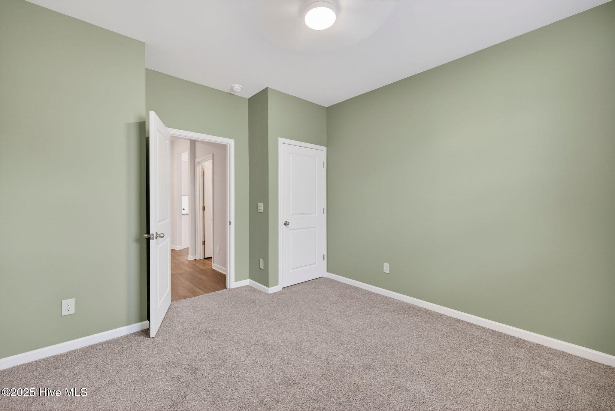 2039 Willowleaf Drive Property Photo 31