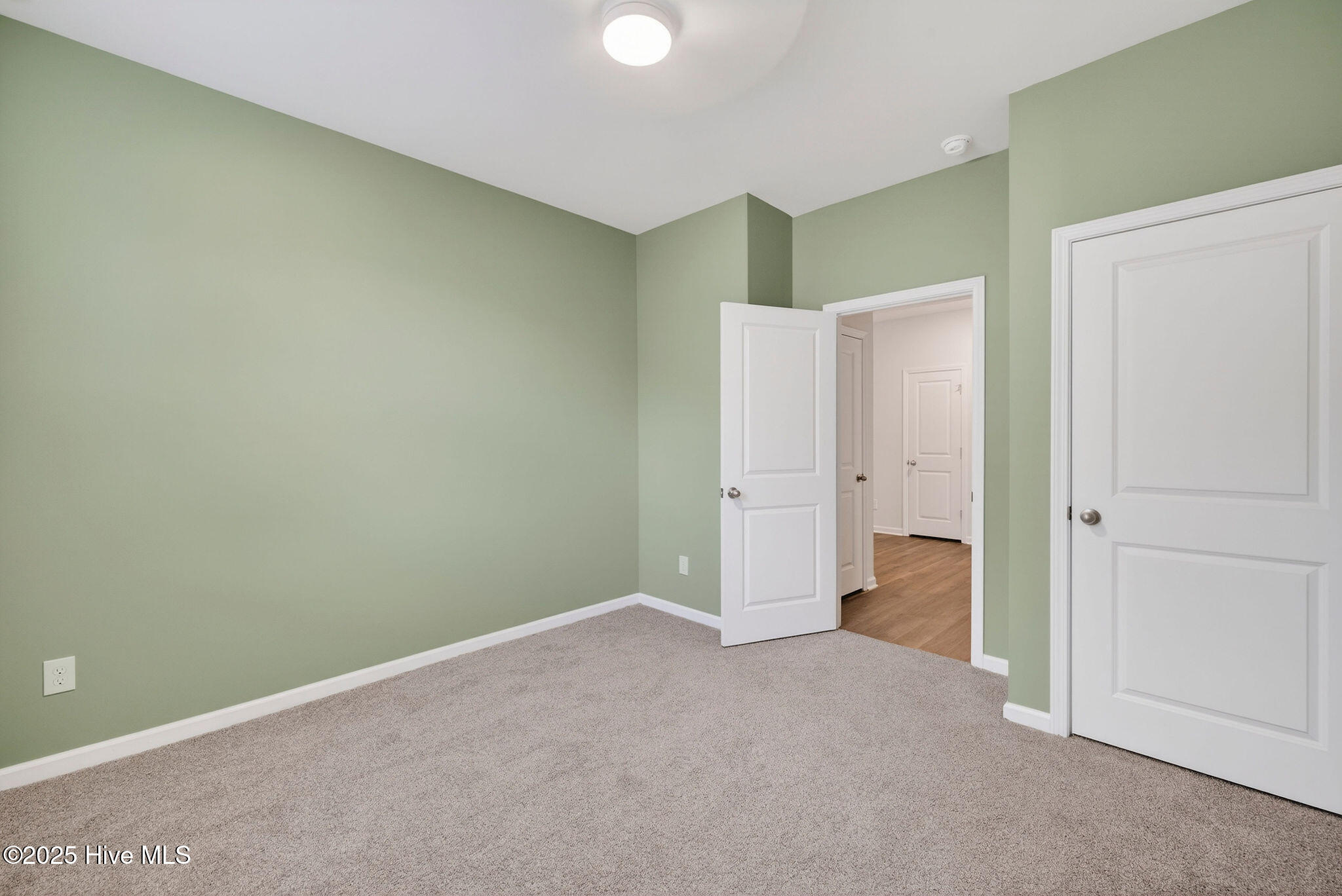 2039 Willowleaf Drive Property Photo 32