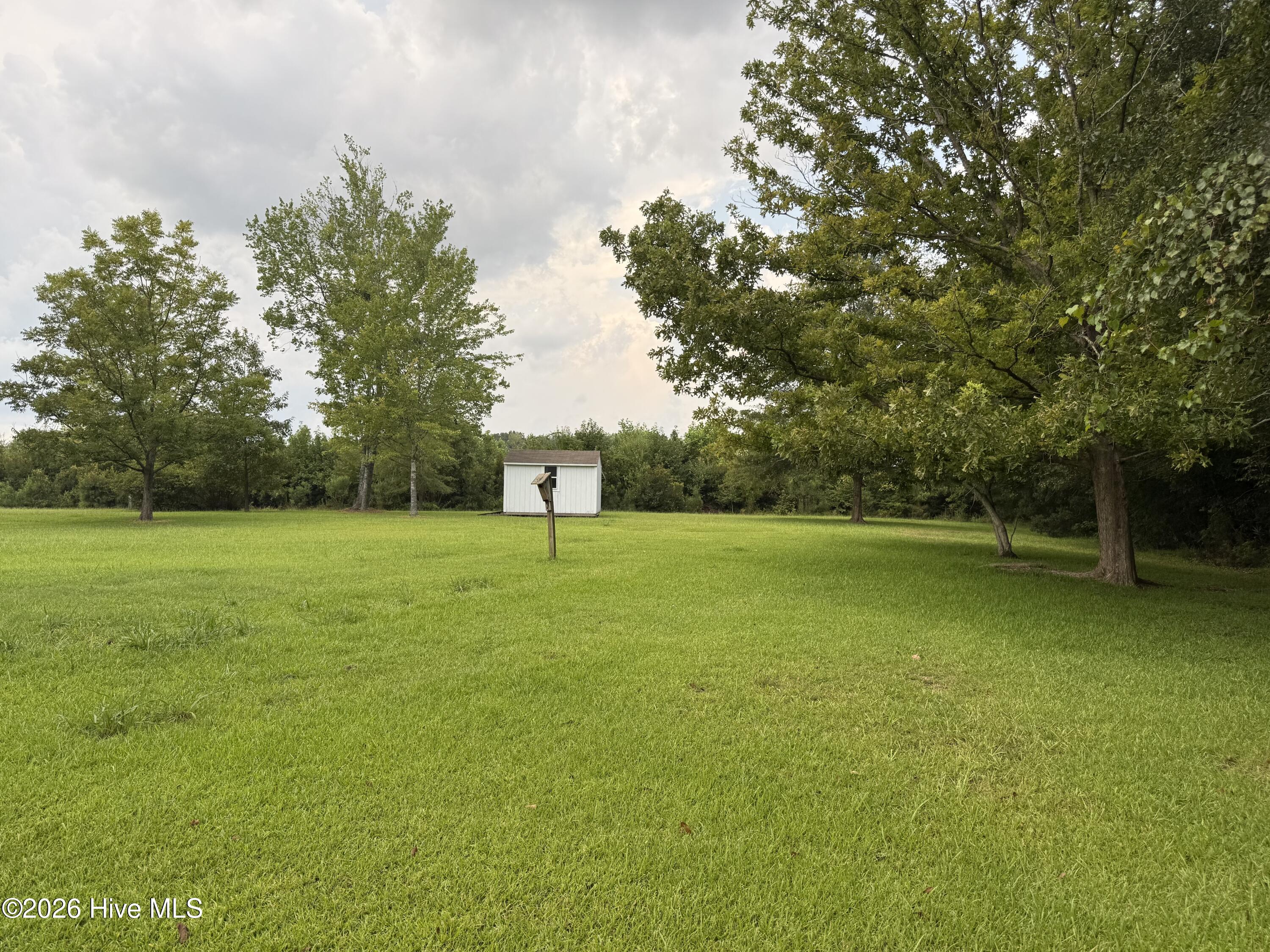 564 Alligator Loop Road Property Photo 2