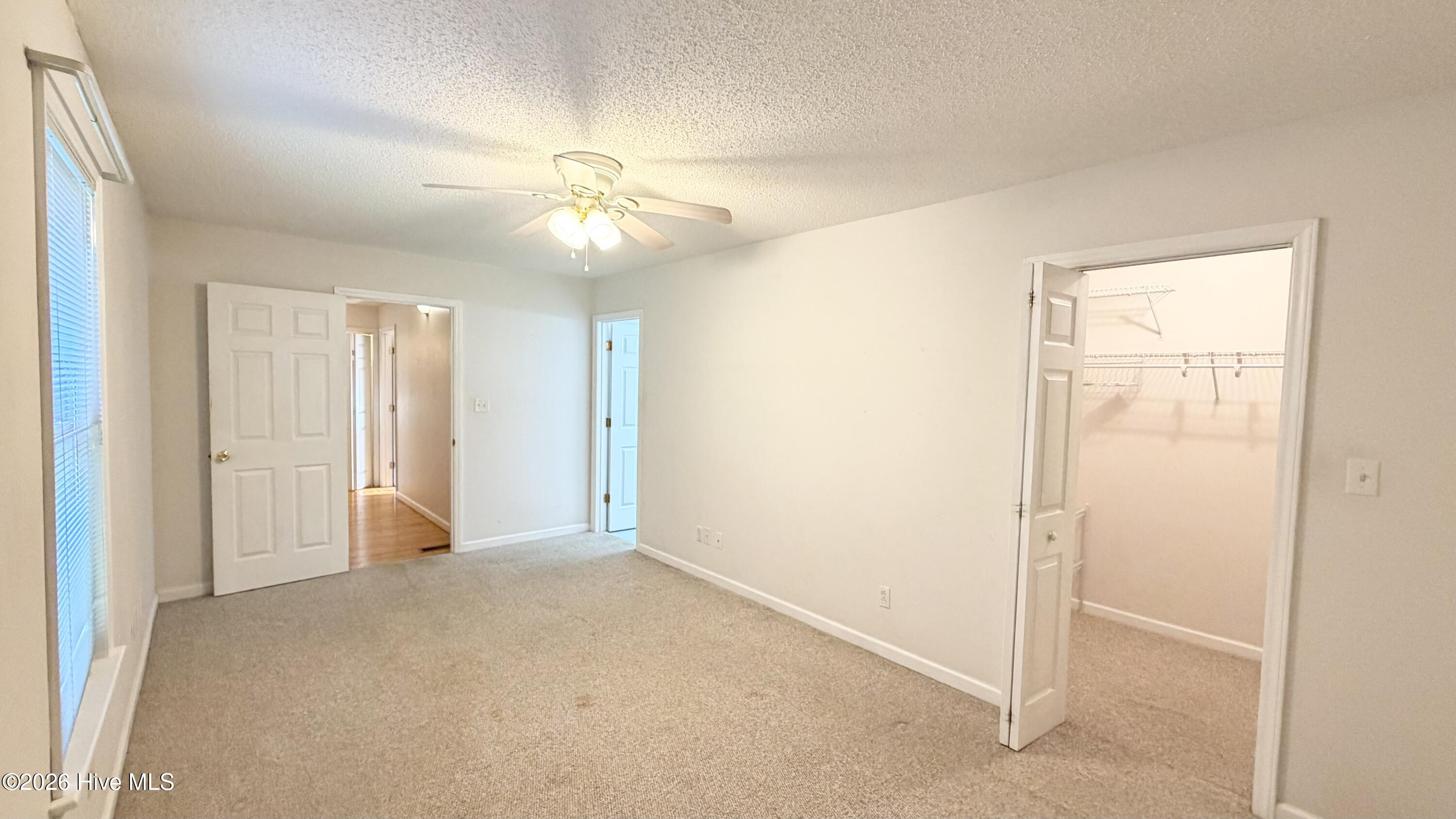 564 Alligator Loop Road Property Photo 15