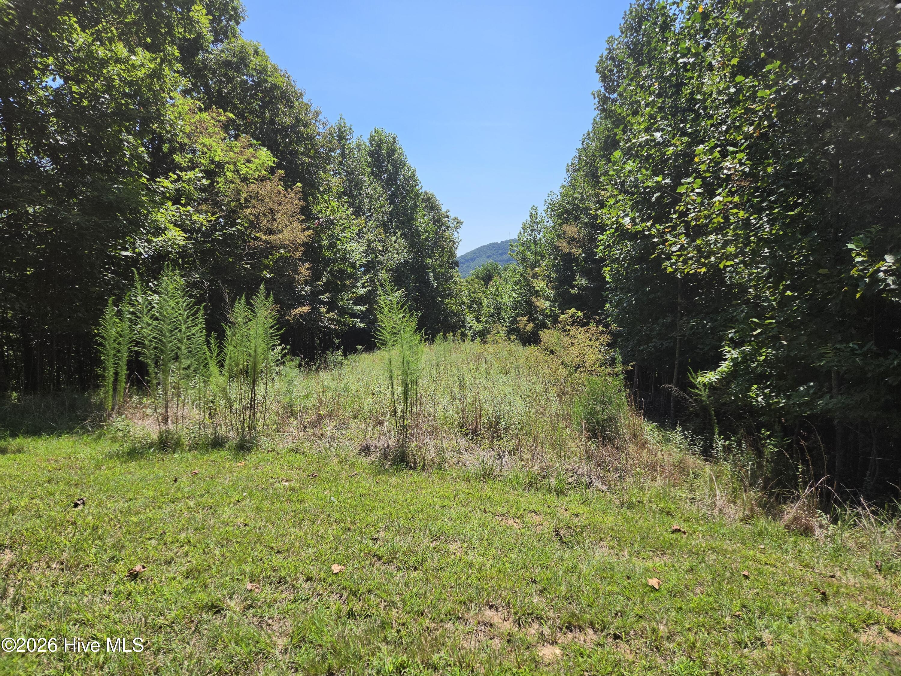 Lot 69 69 Collins Court Property Photo 1