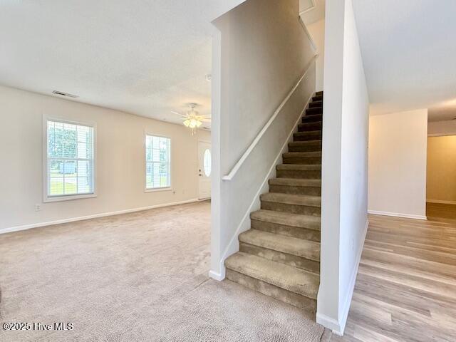 1120 Ben Williams Road Property Photo 5