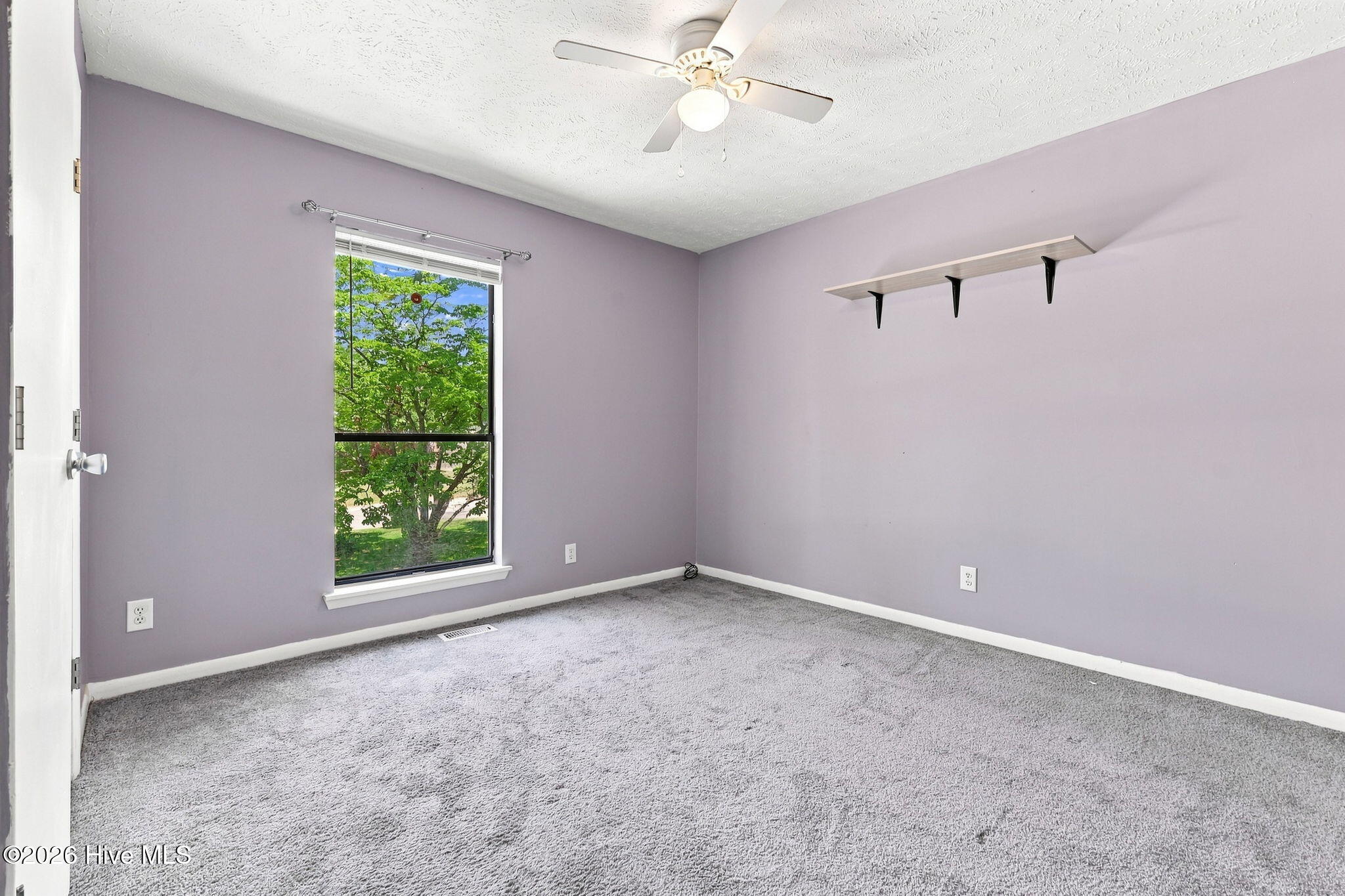 5719 Trevino Street Property Photo 34