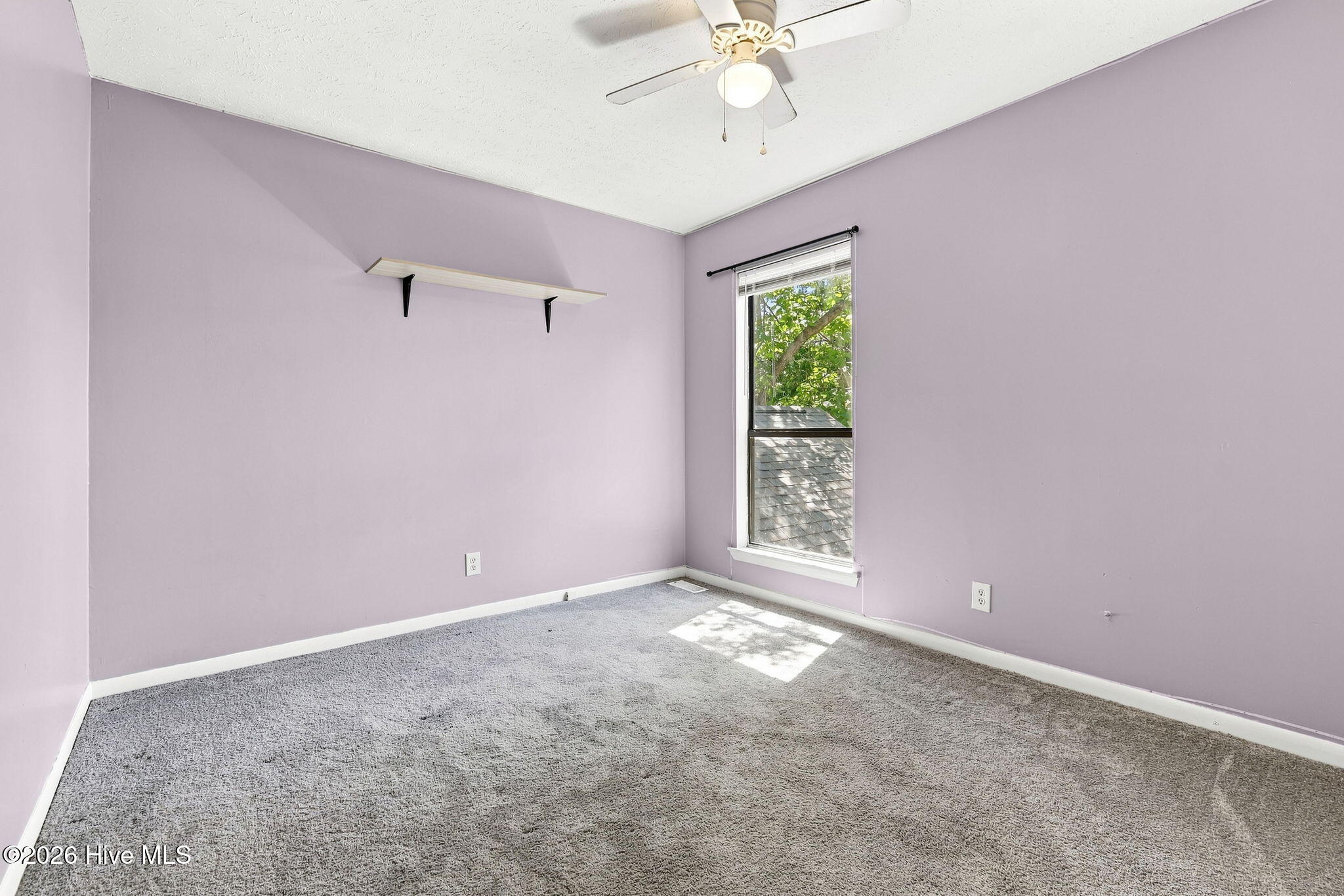 5719 Trevino Street Property Photo 39