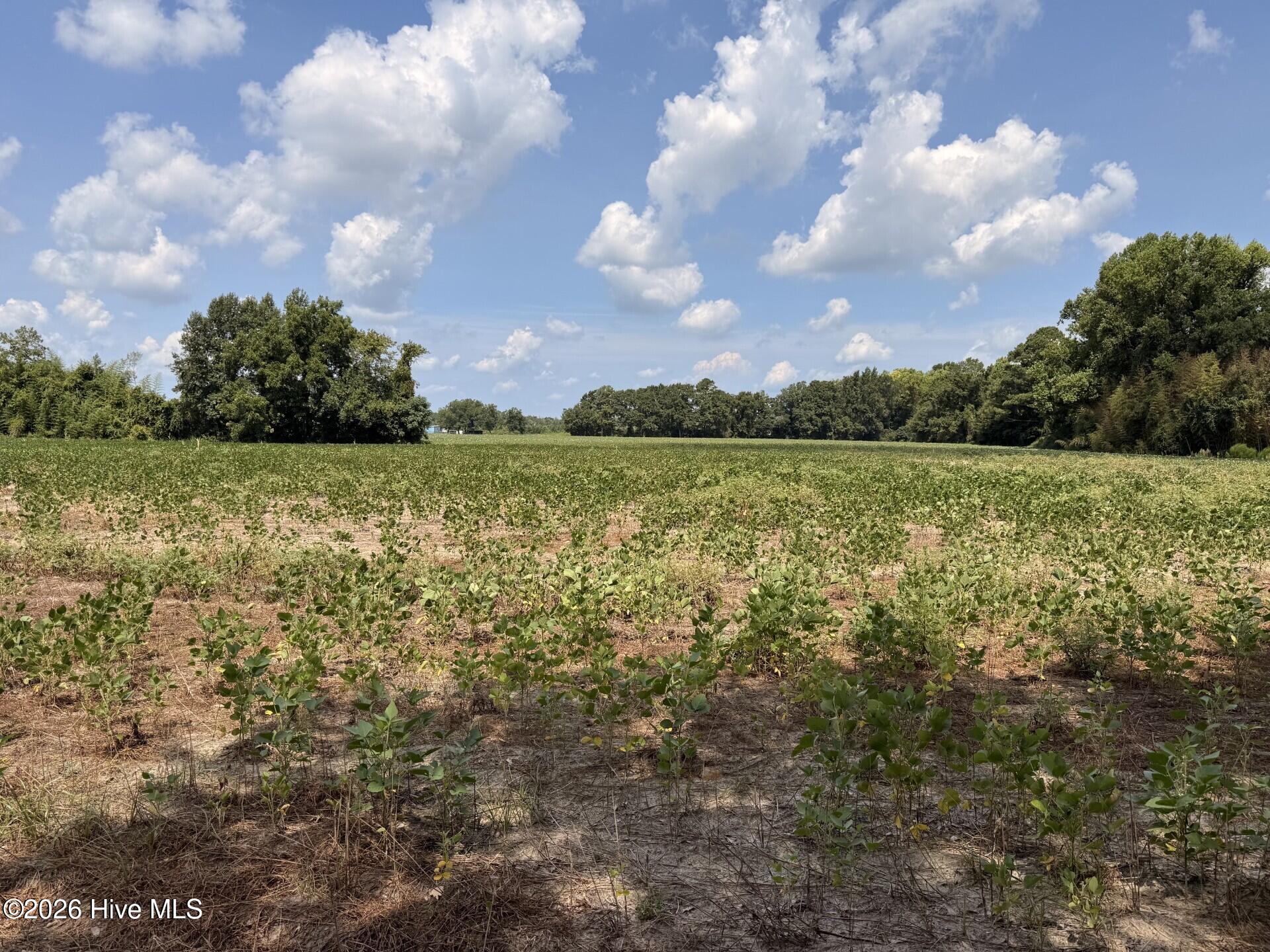 685 Snake Road Property Photo 2