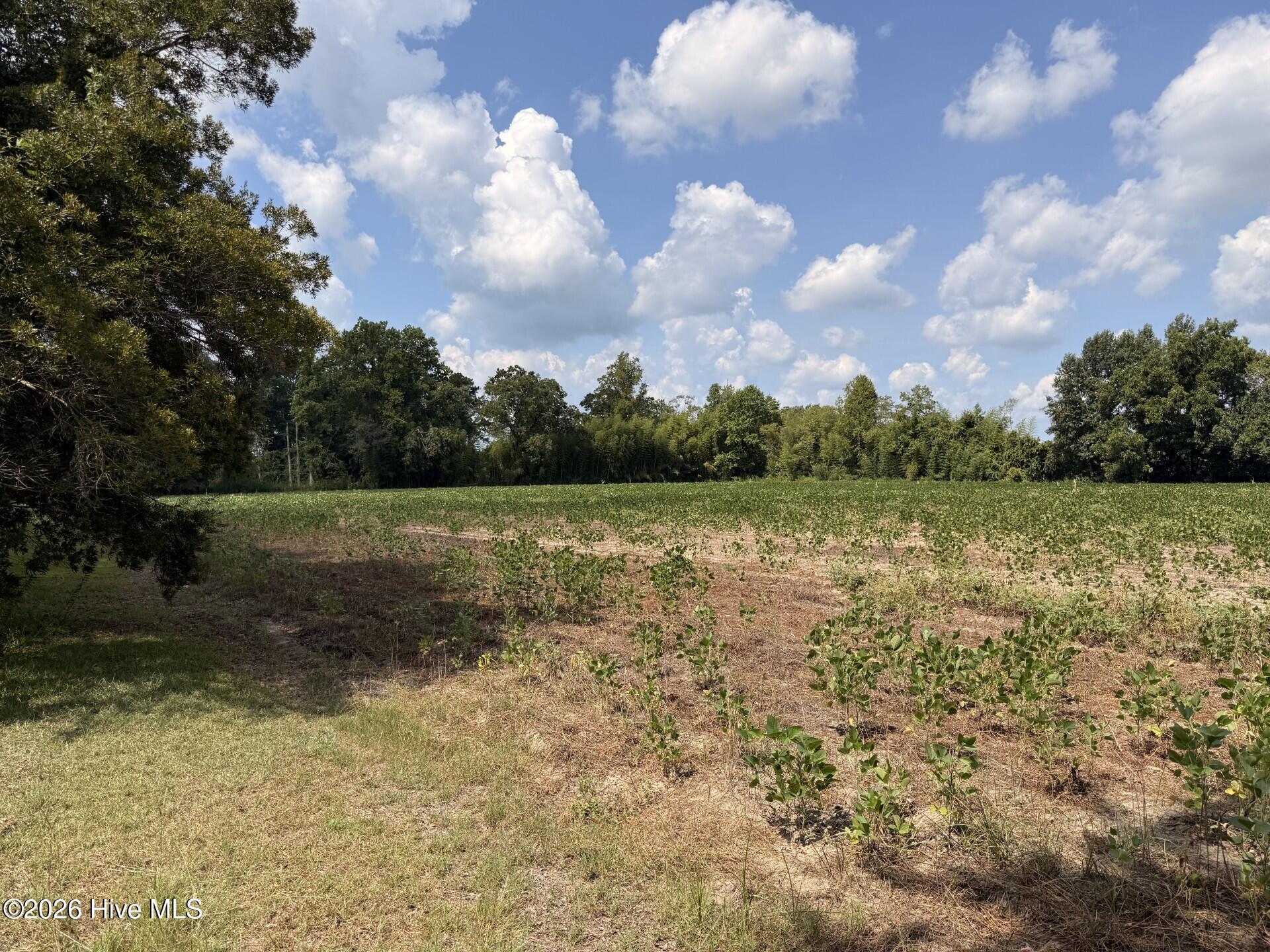 685 Snake Road Property Photo 3
