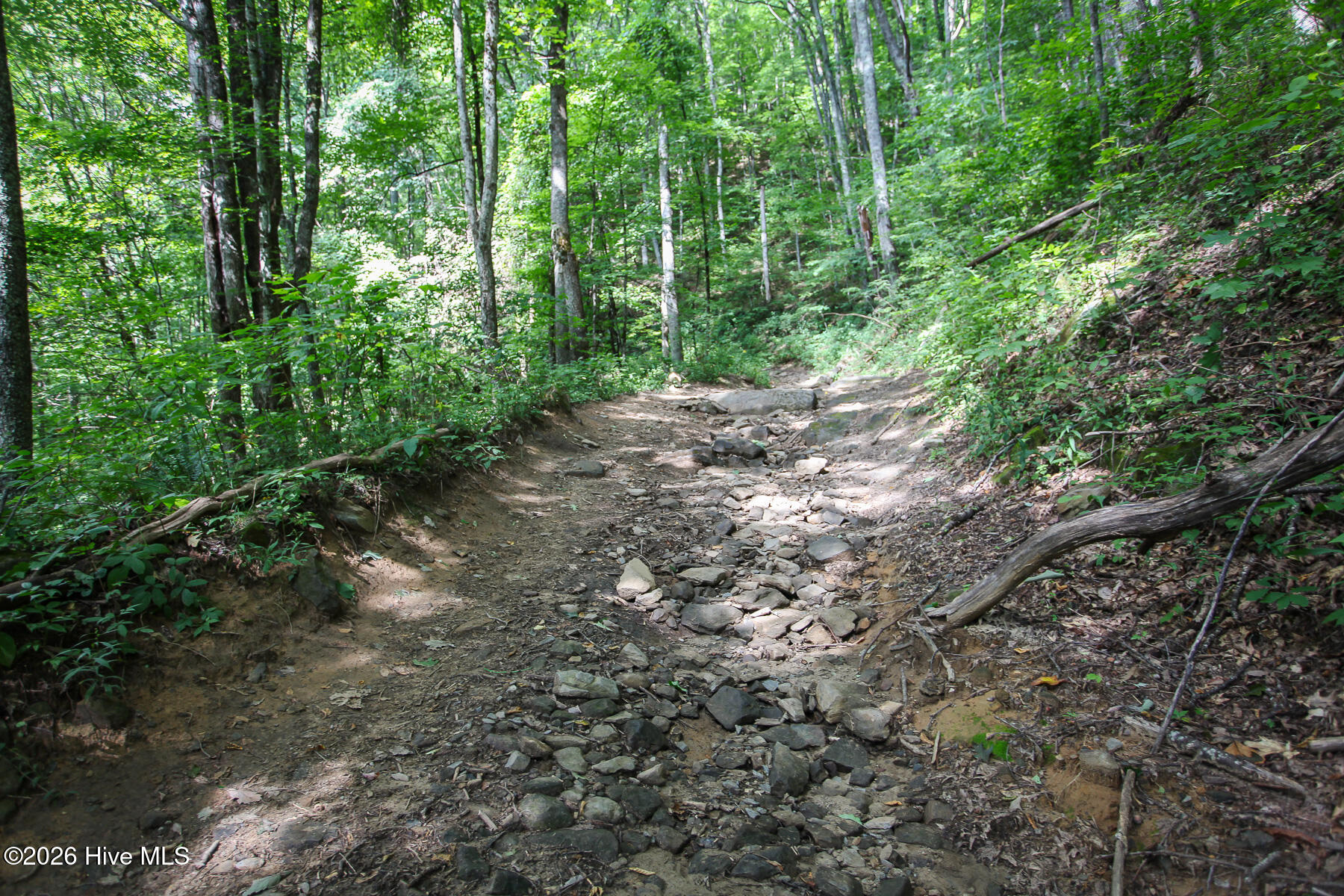 00 Huffman Creek Road Property Photo 15