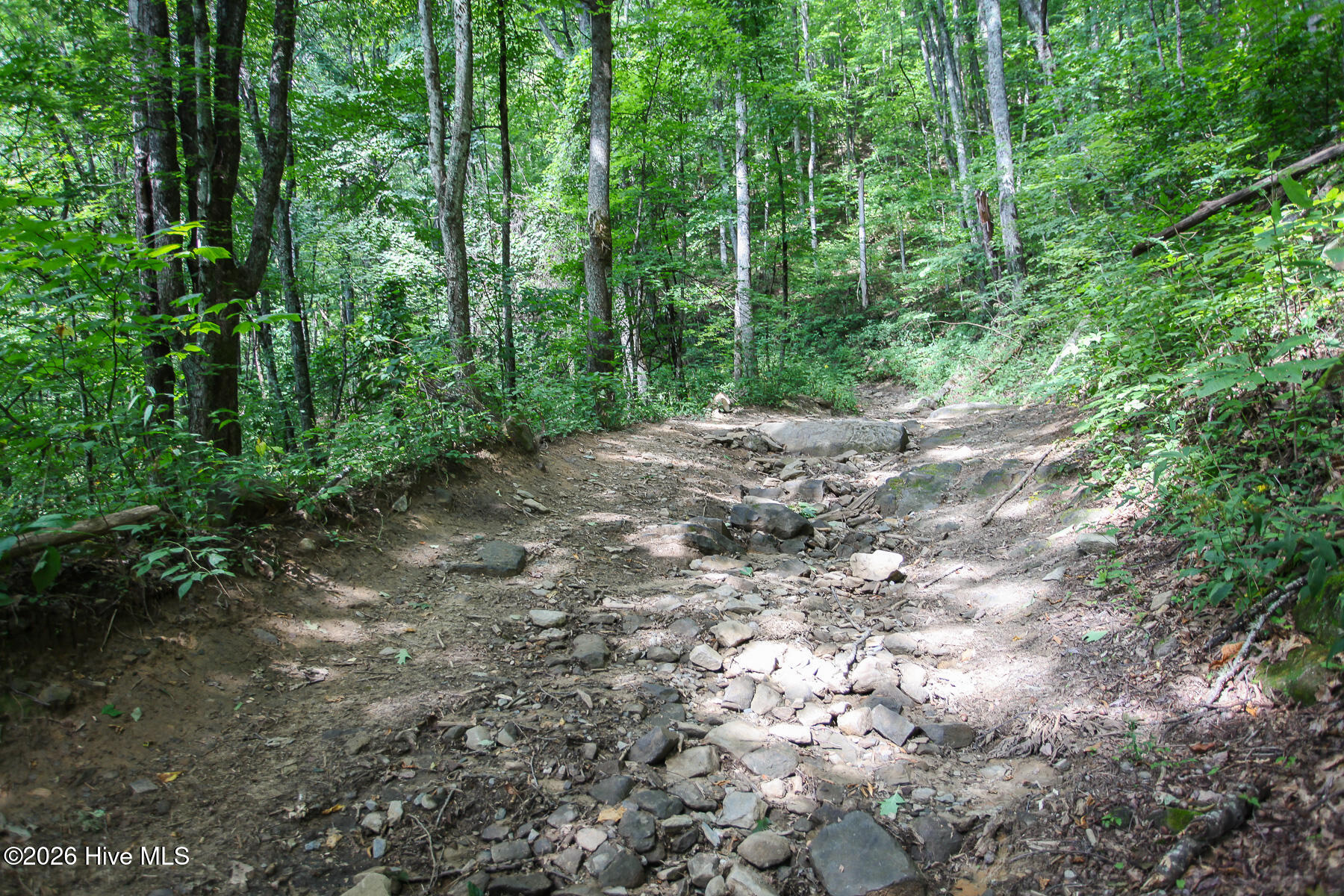 00 Huffman Creek Road Property Photo 16