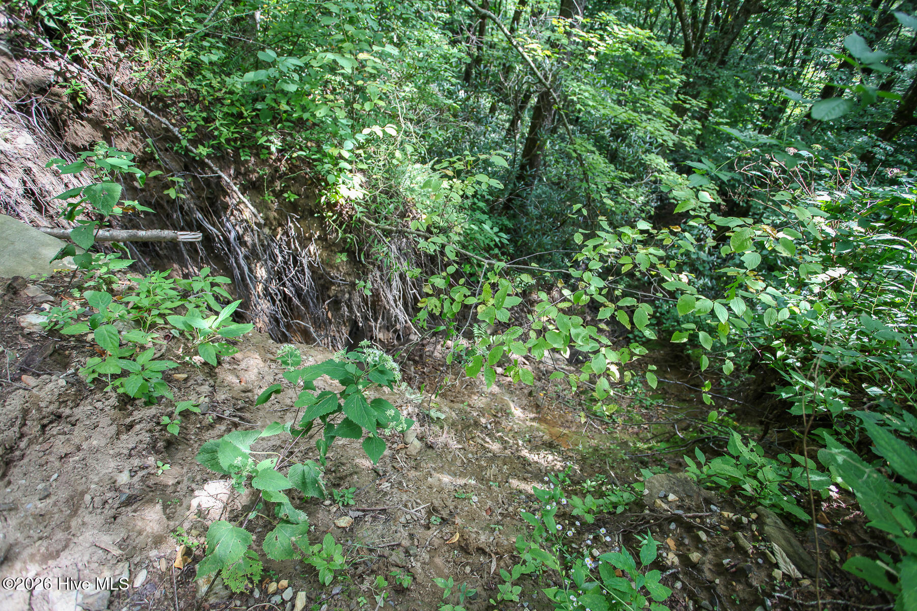 00 Huffman Creek Road Property Photo 17