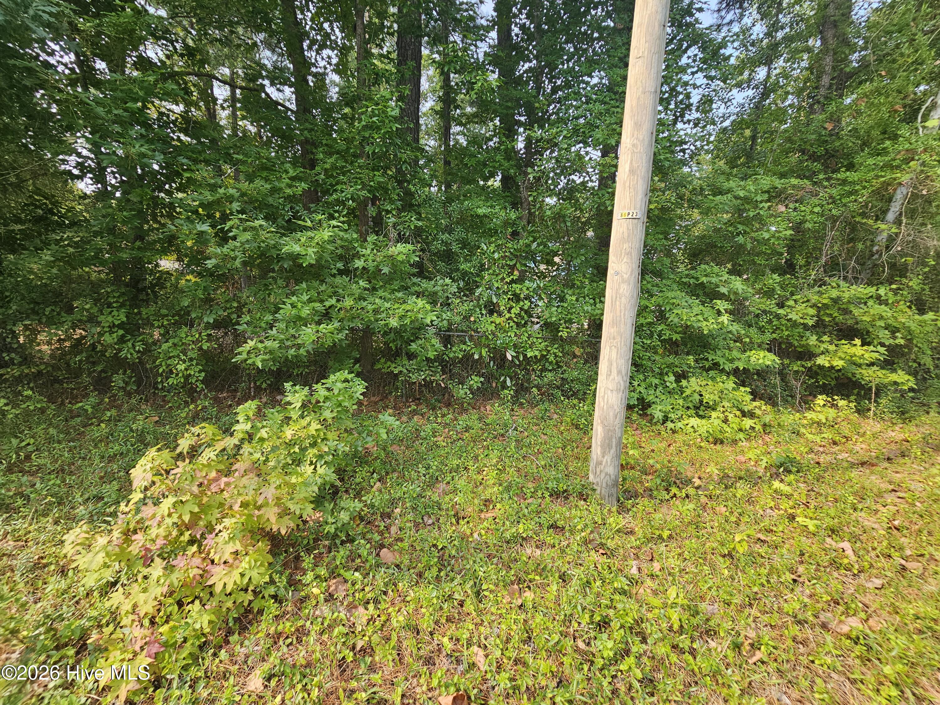 9470 Magnolia Drive Ne Property Photo 13