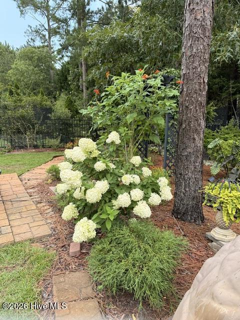 203 Whimbrel Way Property Photo 44