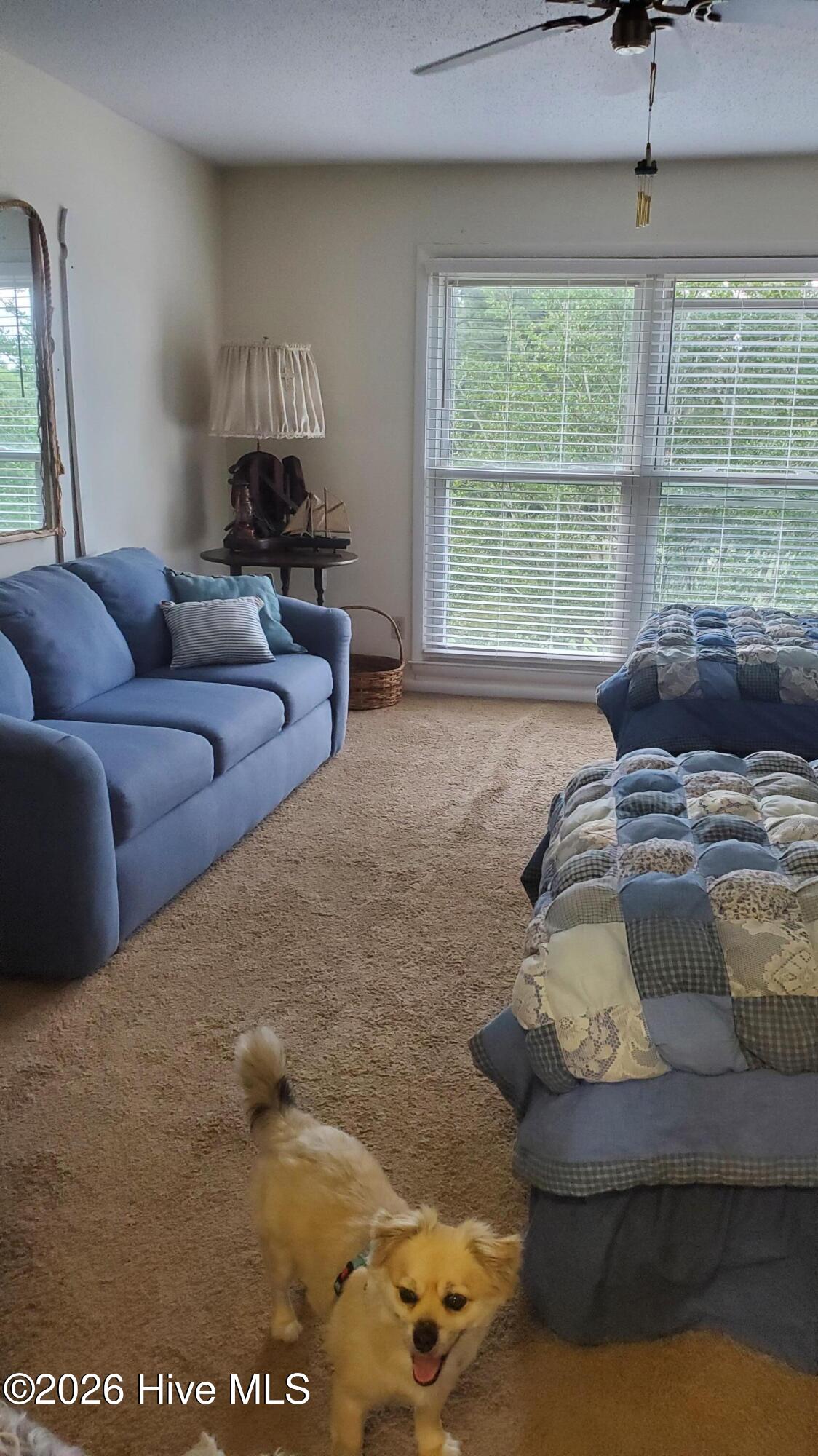4 Foxhill Circle Property Photo 13