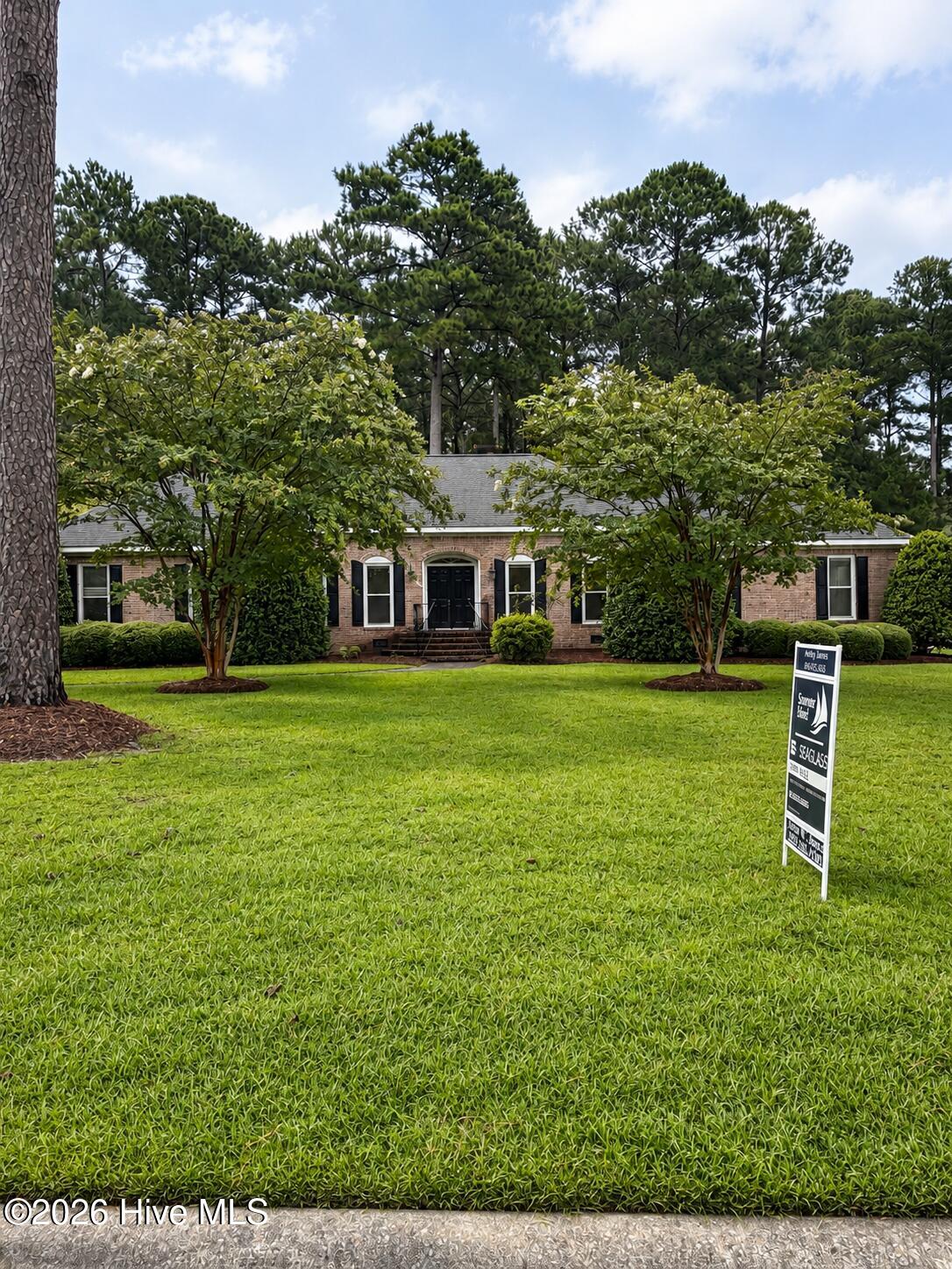 205 Thomas Place Property Photo 2