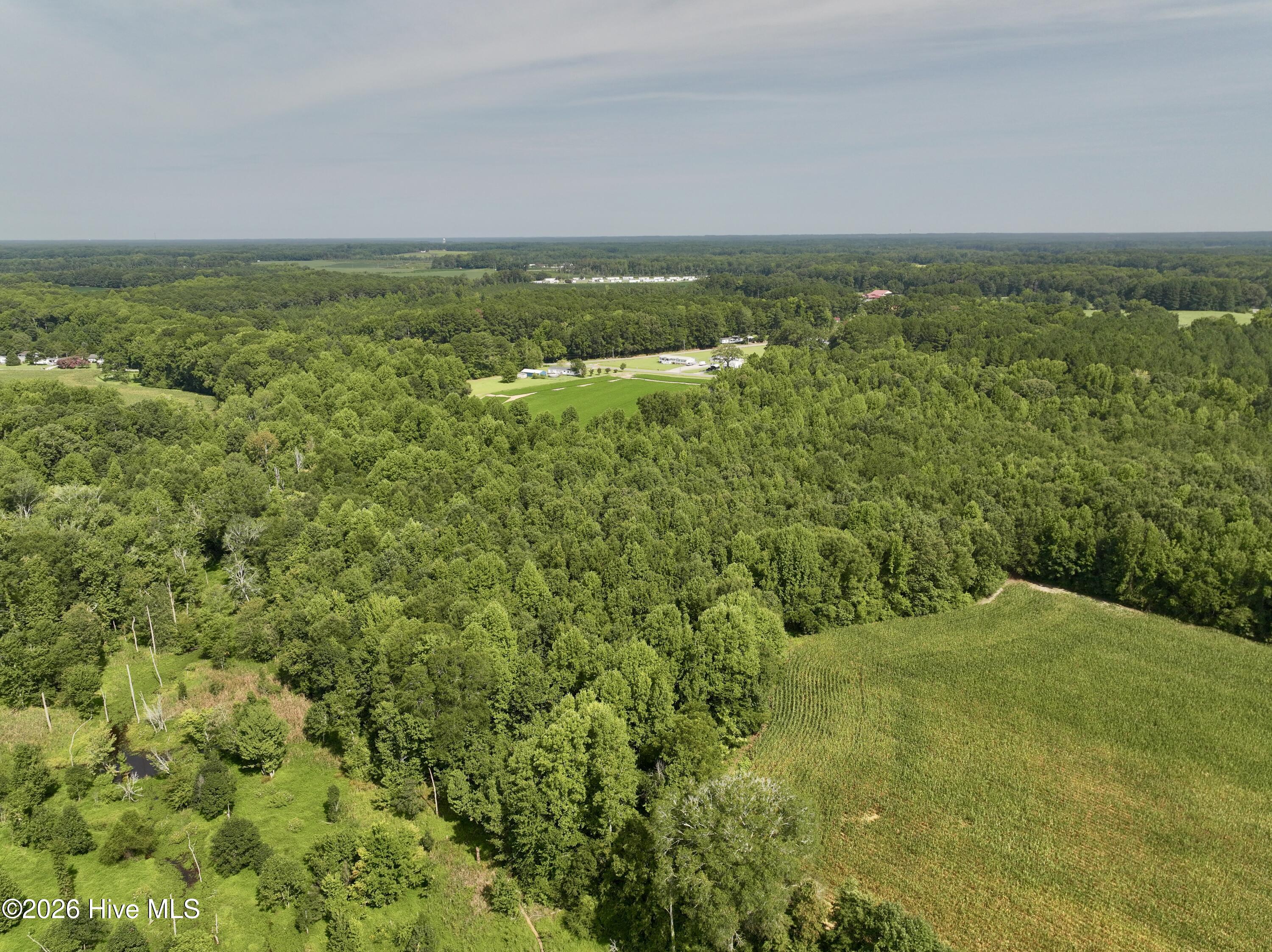 Lot 2 Mobley Road Property Photo 2