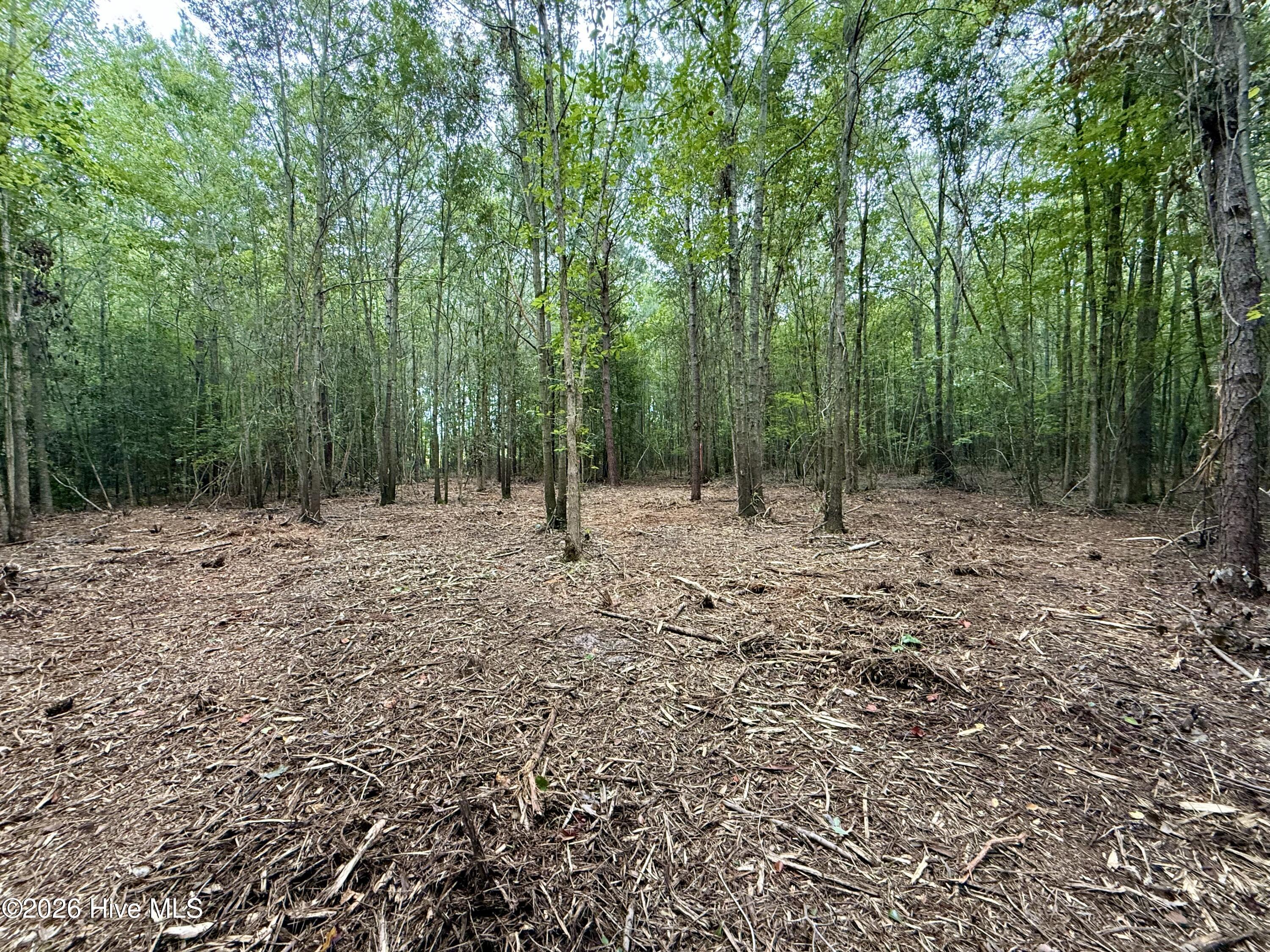 Lot 2 Mobley Road Property Photo 4