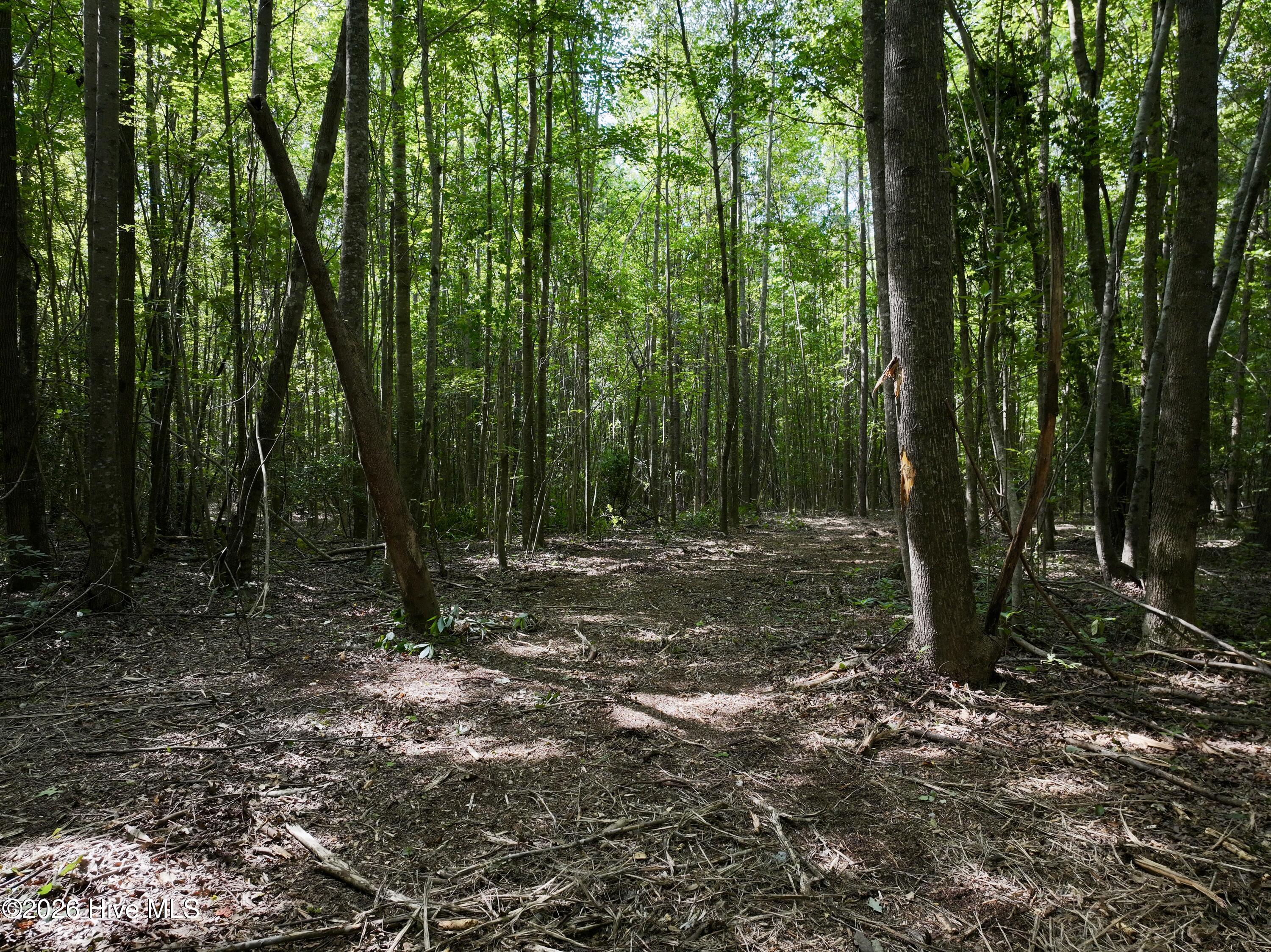Lot 2 Mobley Road Property Photo 6