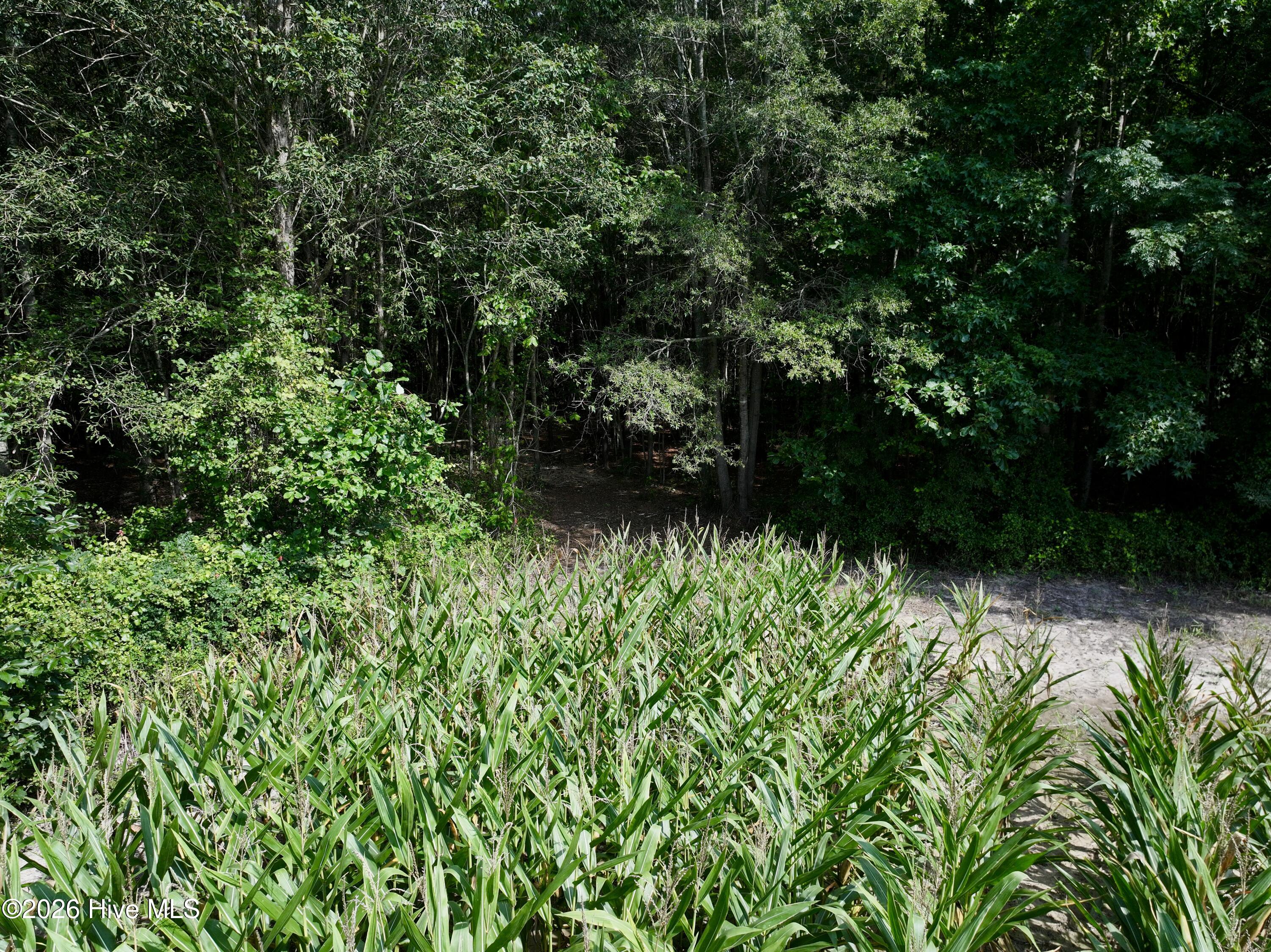 Lot 2 Mobley Road Property Photo 8