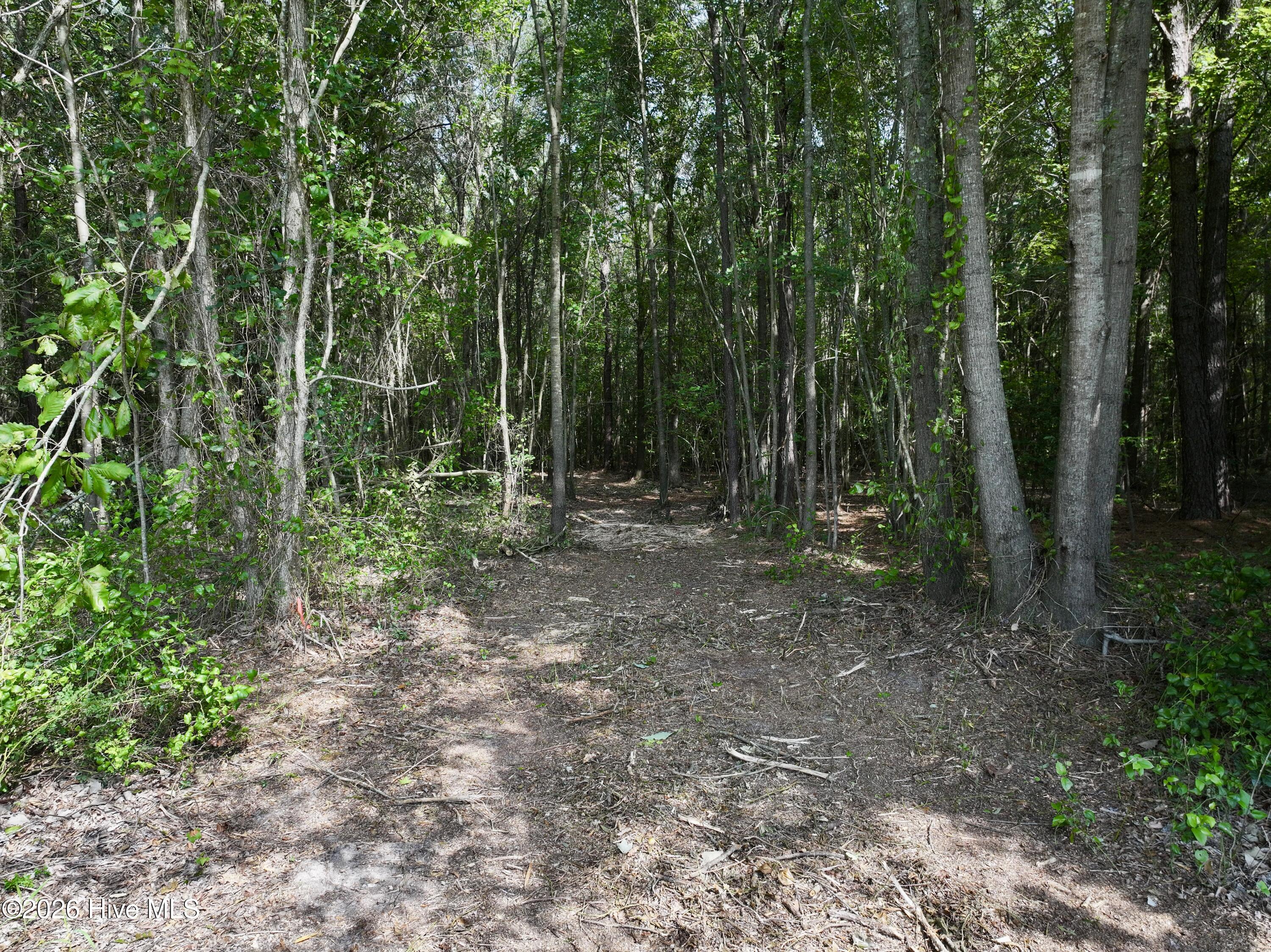 Lot 2 Mobley Road Property Photo 9