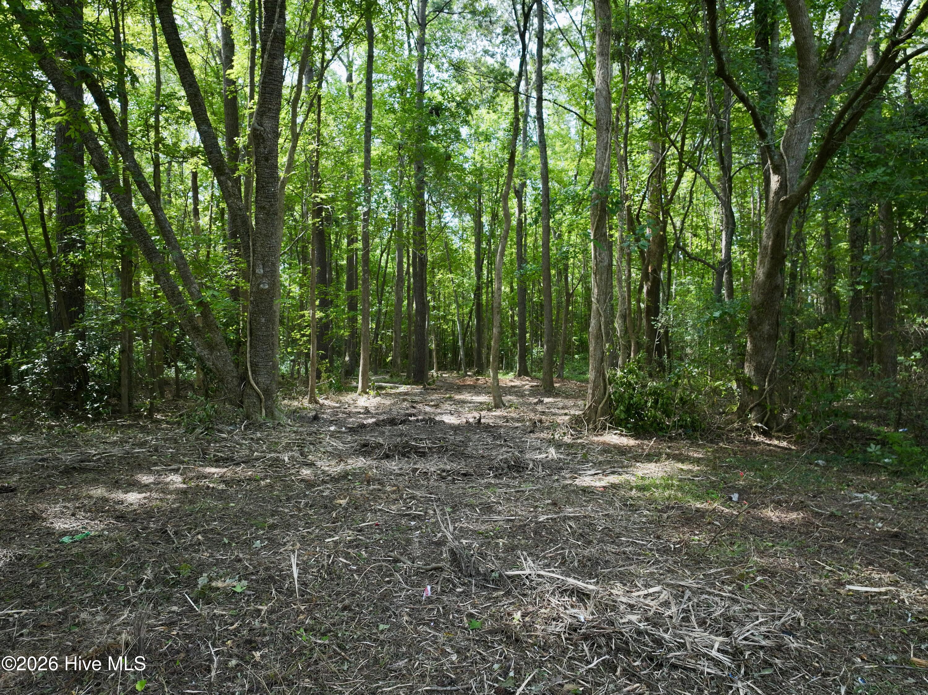 Lot 2 Mobley Road Property Photo 15