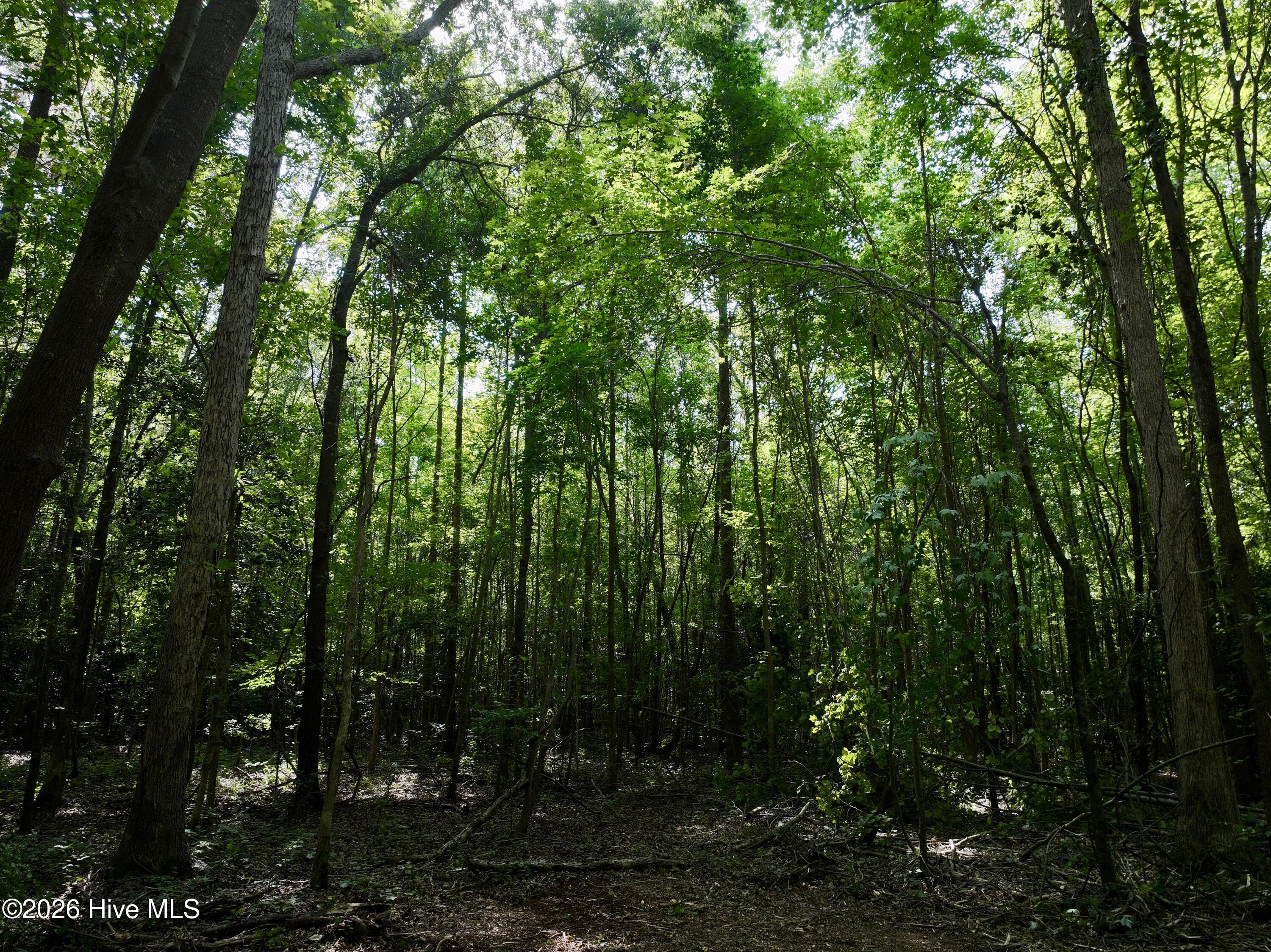 Lot 2 Mobley Road Property Photo 17