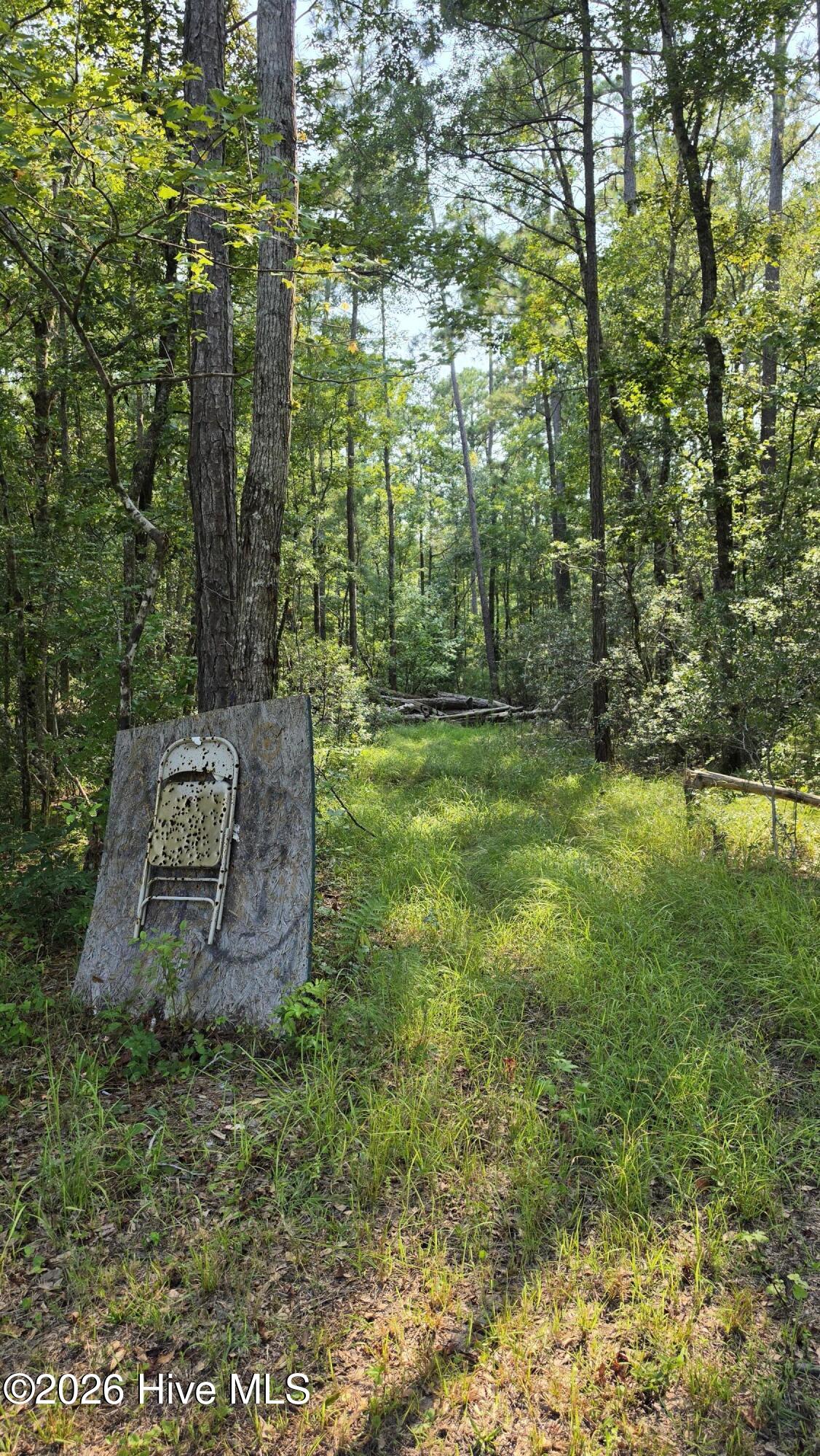 347 Sandy Point Drive Property Photo 25