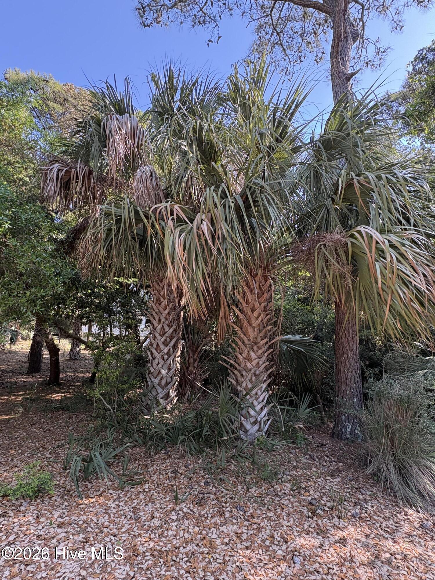 222 831 N Bald Head Property Photo 5