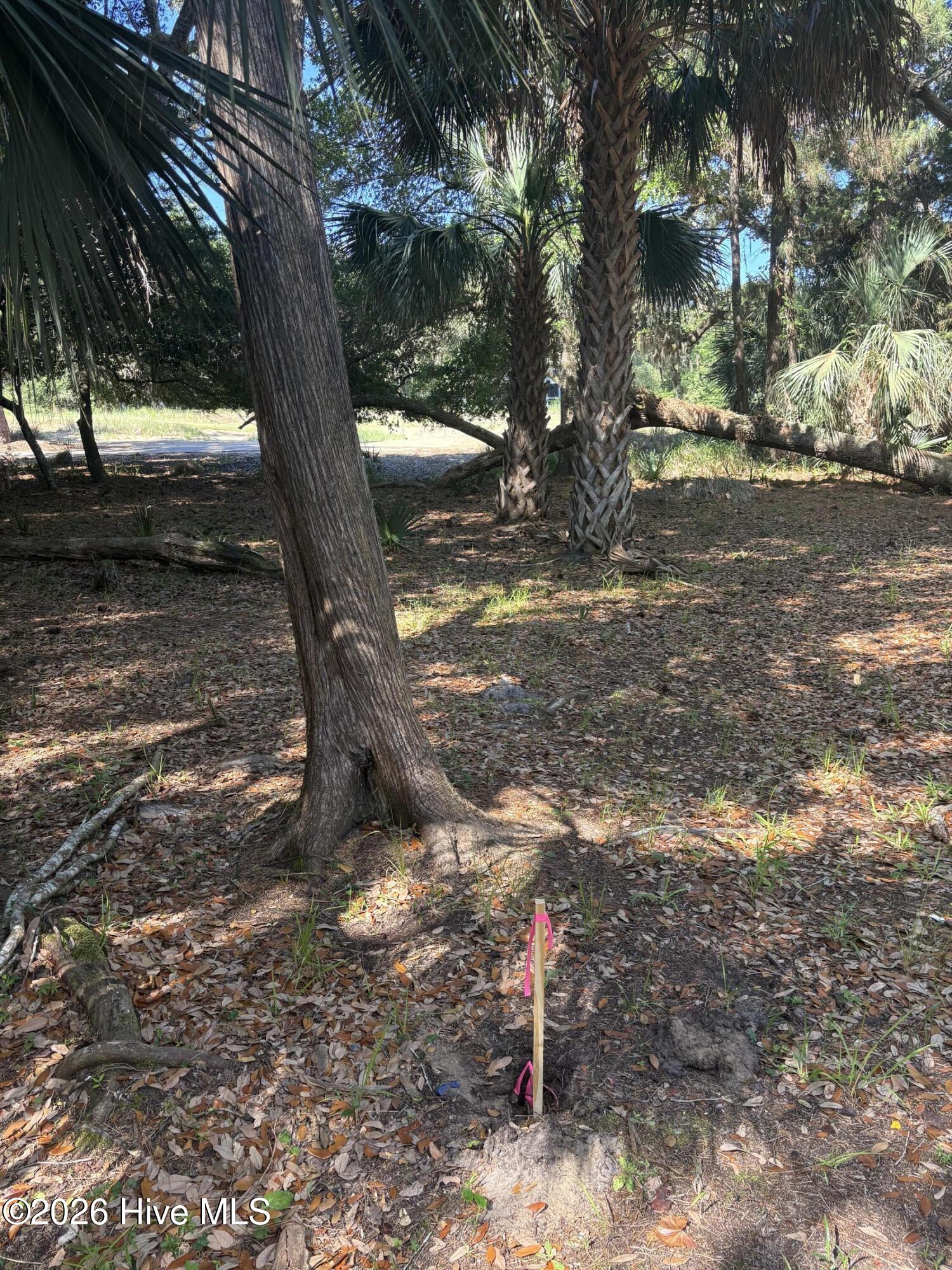 222 831 N Bald Head Property Photo 10