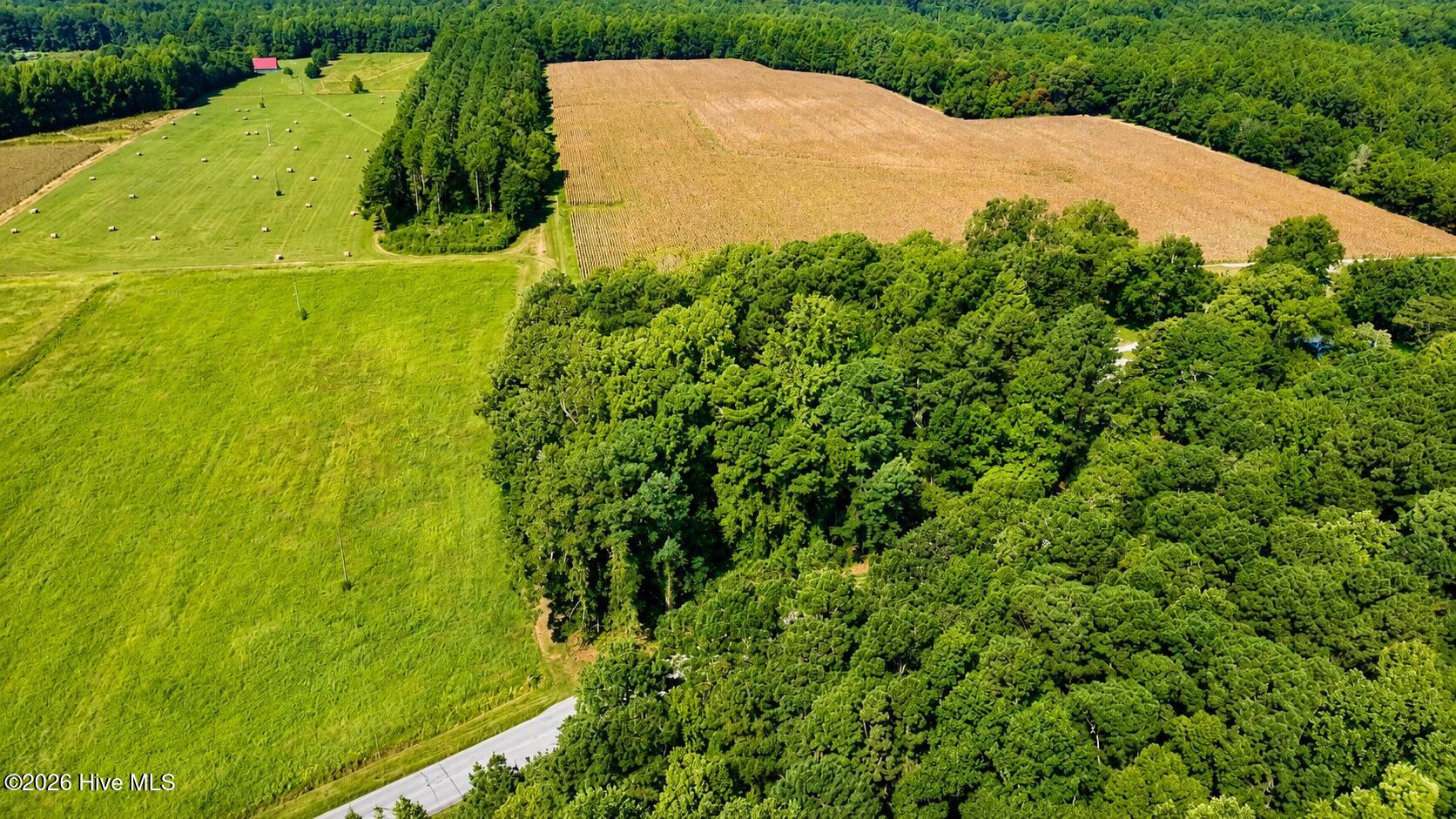 0 Swamp Fox Highway W Property Photo 15