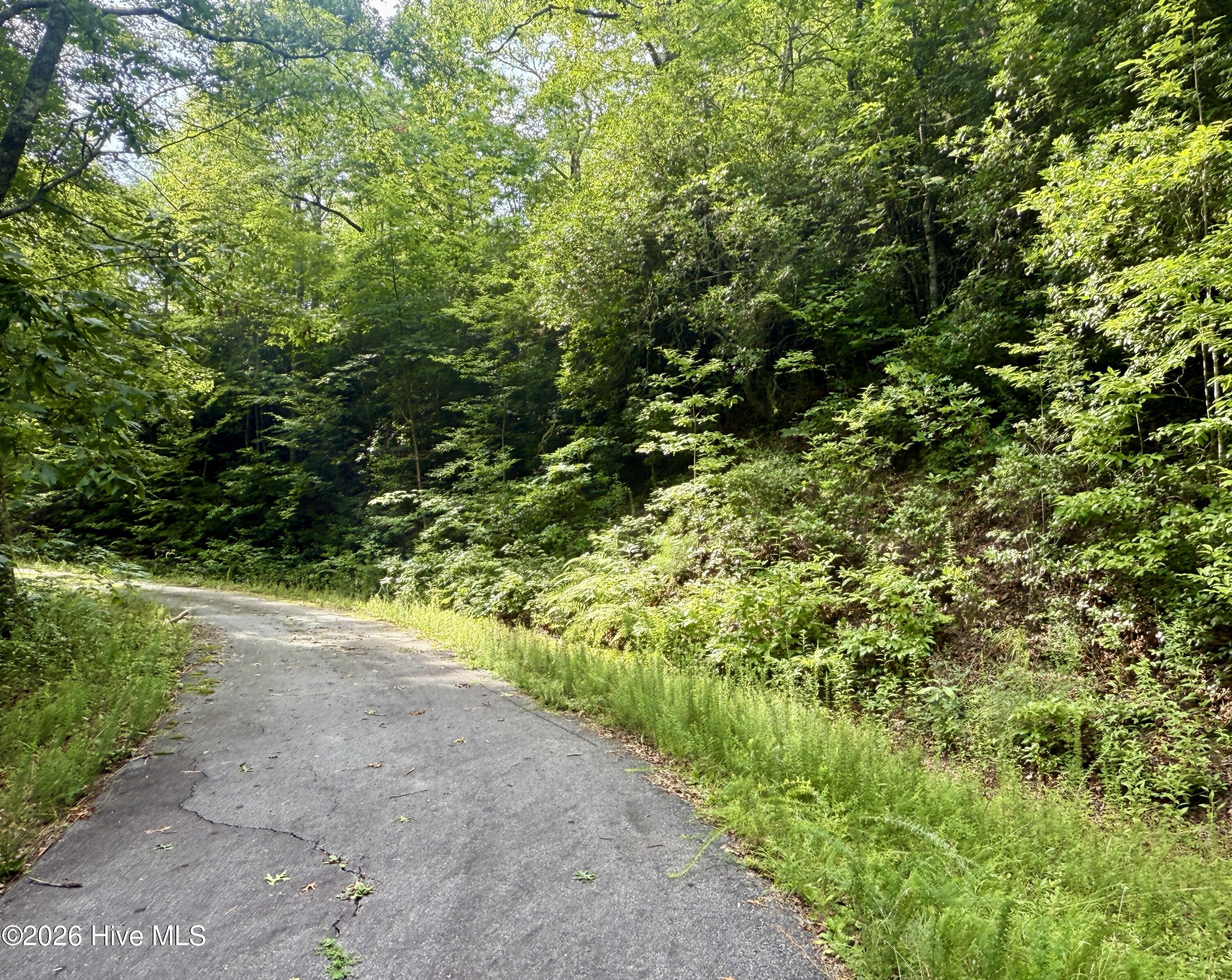 Lot 6&11 6&11 Big Choga Road Property Photo 5