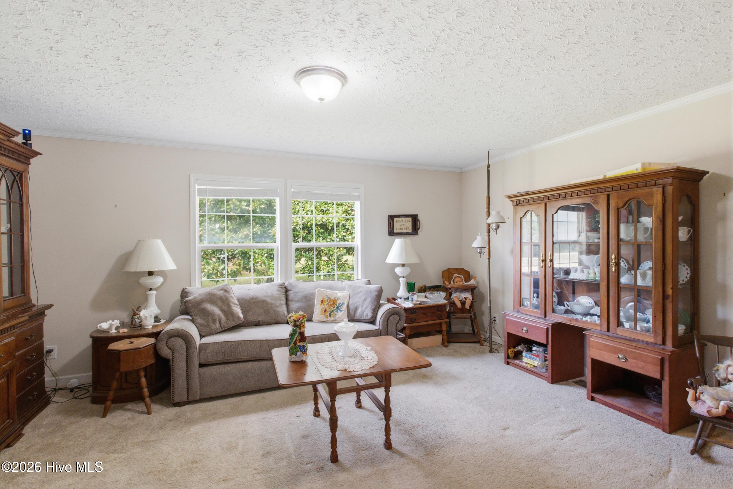 1230 Beech Springs Road Property Photo 19